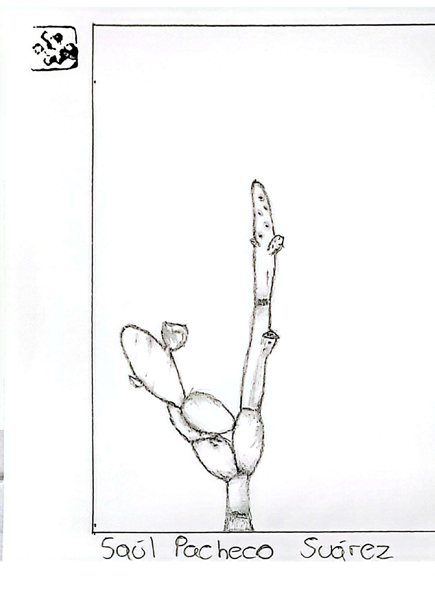 CamScanner