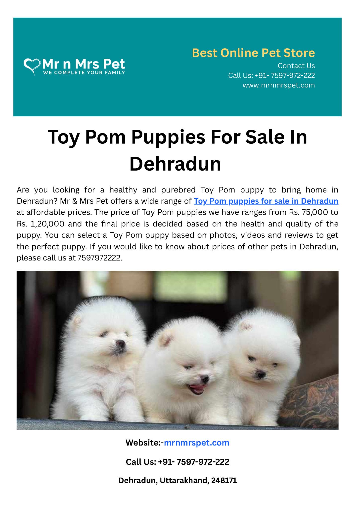 Best Online Pet Store