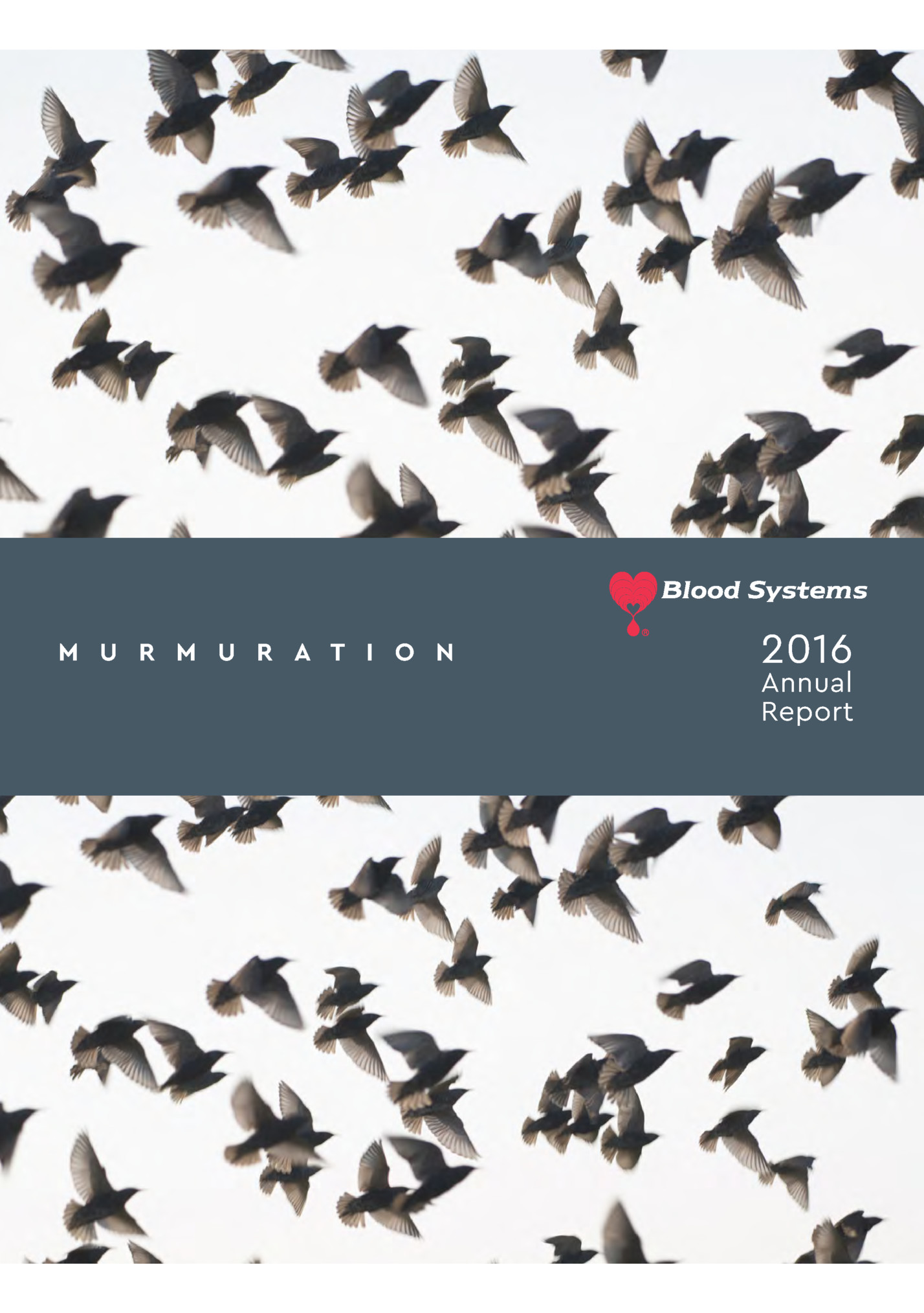 M U R M U R A T I O N