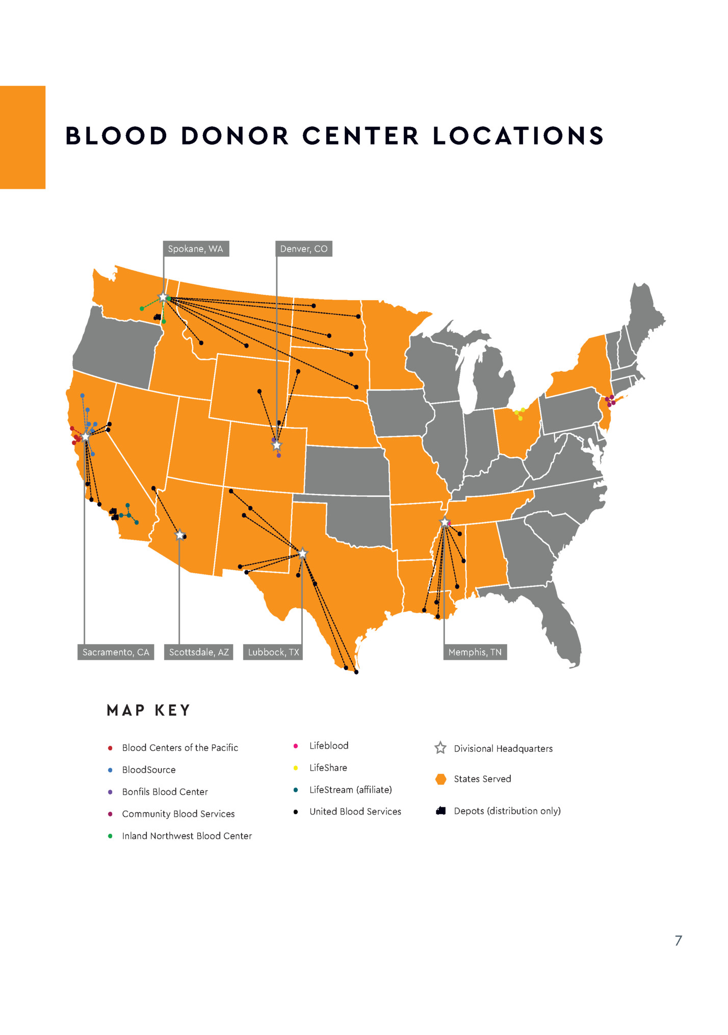 WHAT IS A MURMURATION?