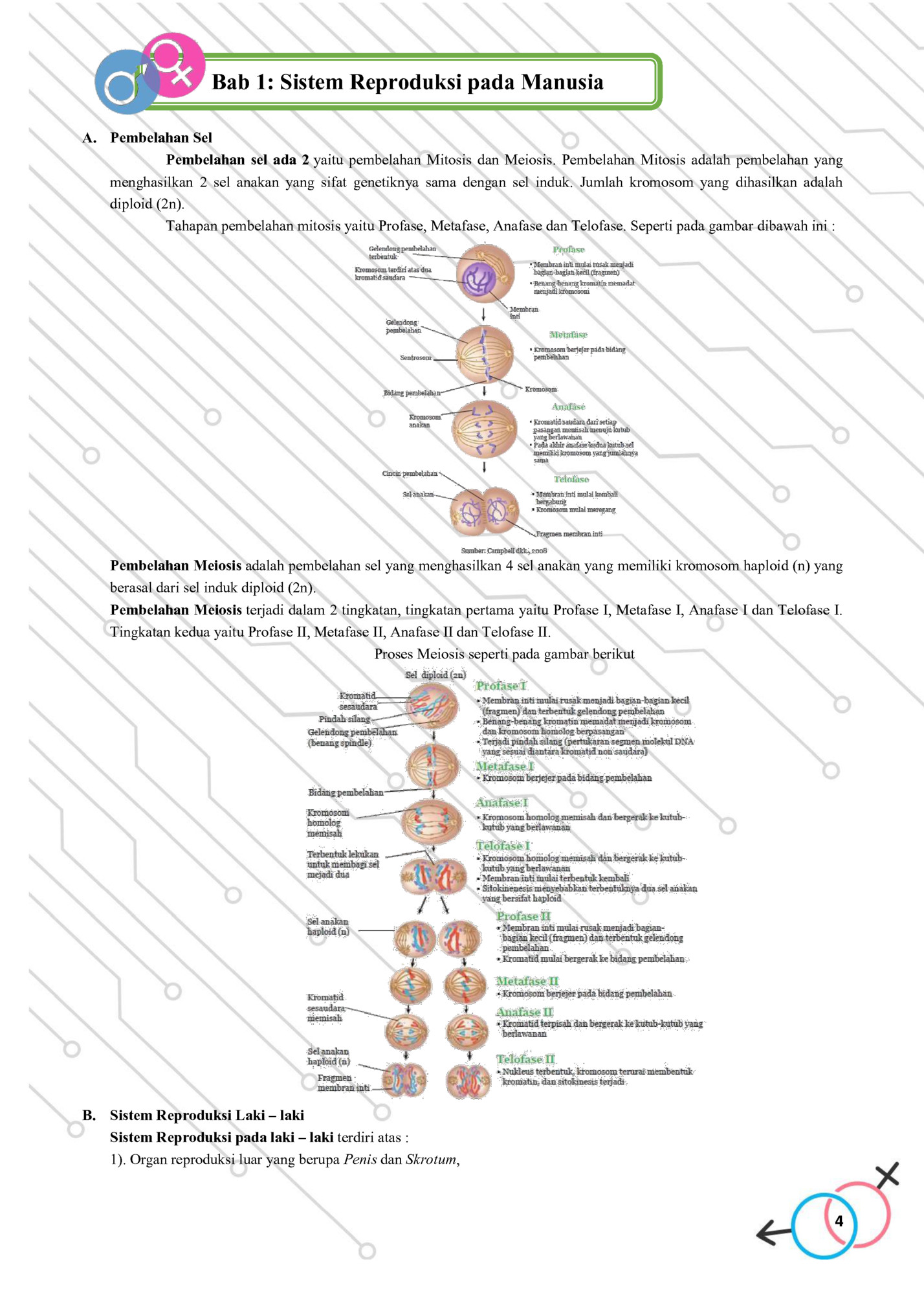 Bab 1: Sistem Reproduksi pada Manusia
