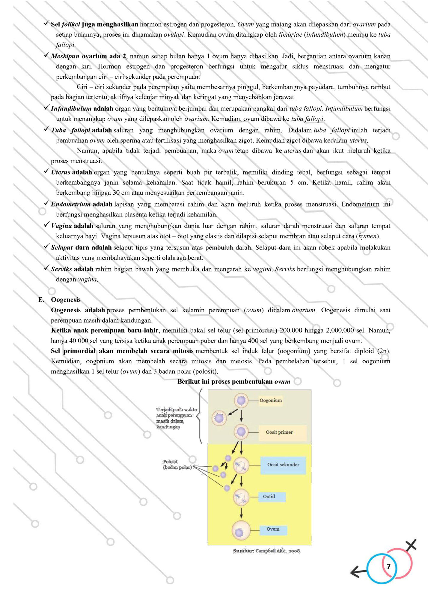 ✓ Sel folikel juga menghasilkan hormon estrogen dan progesteron. Ovum yang matang akan dilepaskan dari ovarium pada