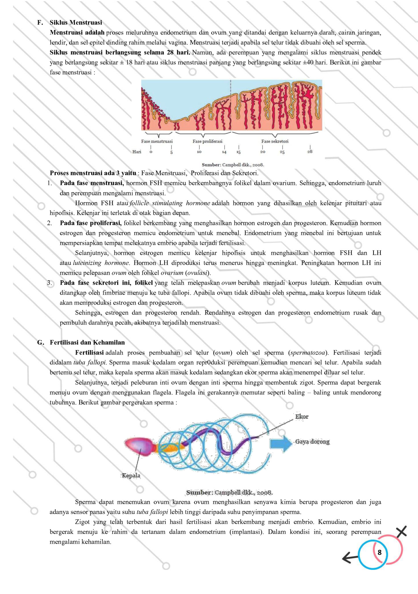F. Siklus Menstruasi