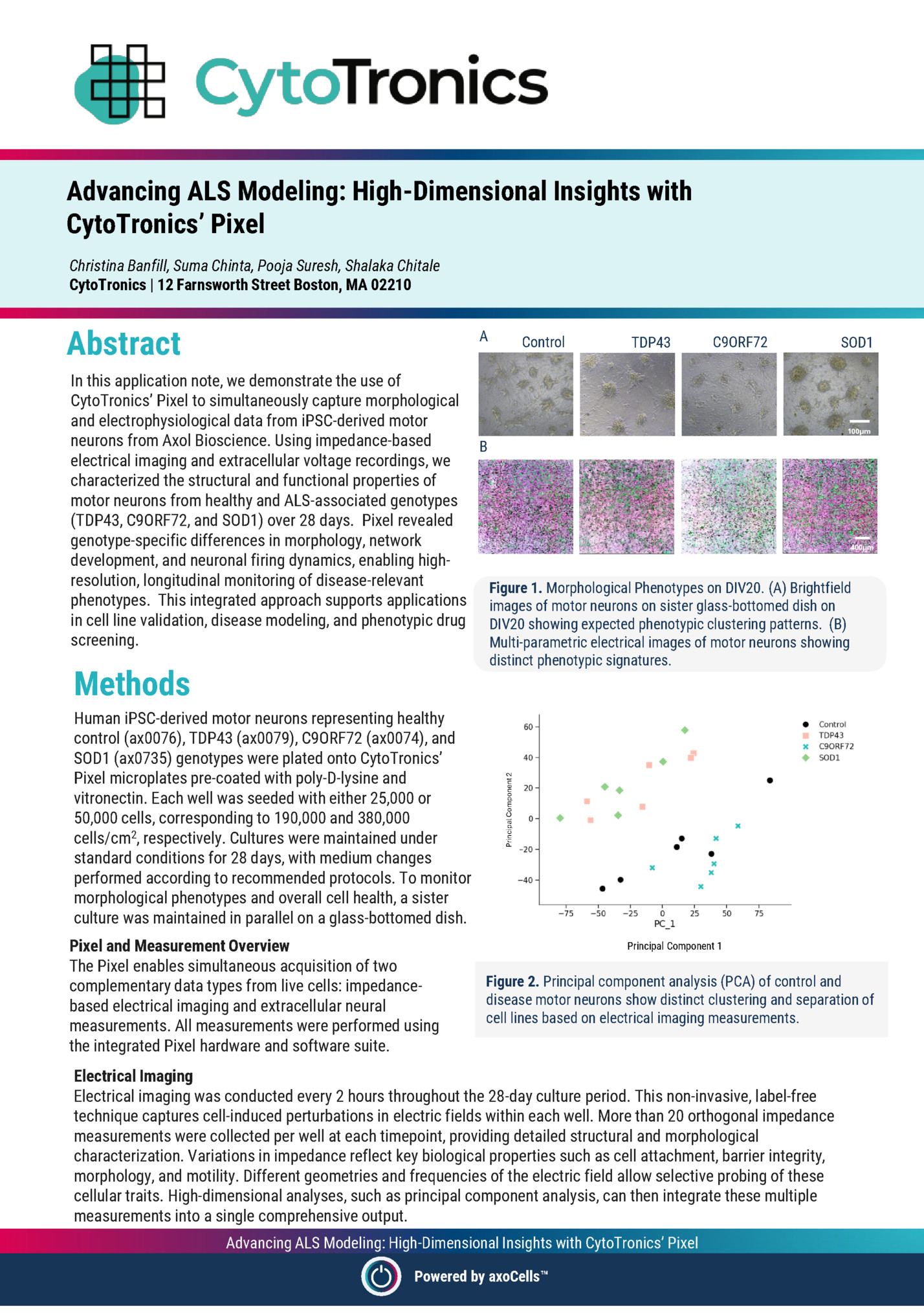 Advancing ALS Modeling: High-Dimensional Insights with