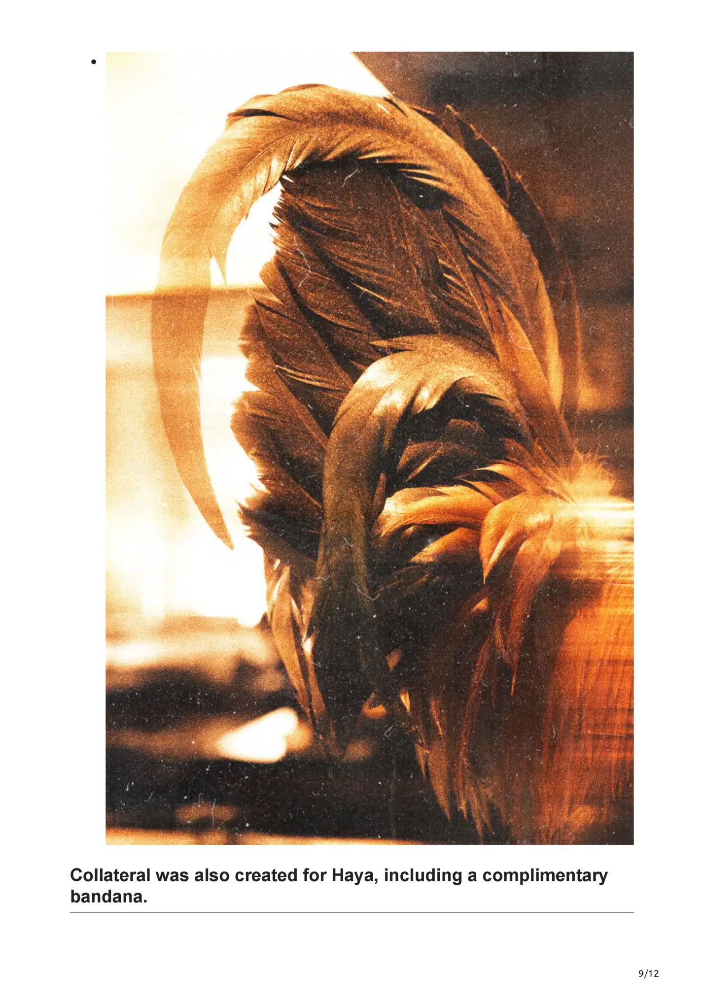 Collateral was also created for Haya, including a complimentary