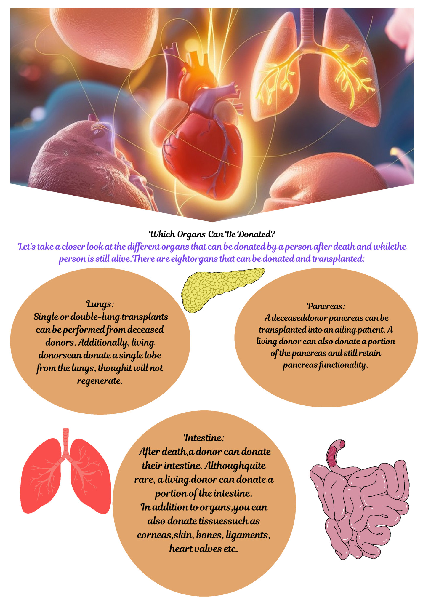 Which Organs Can Be Donated?