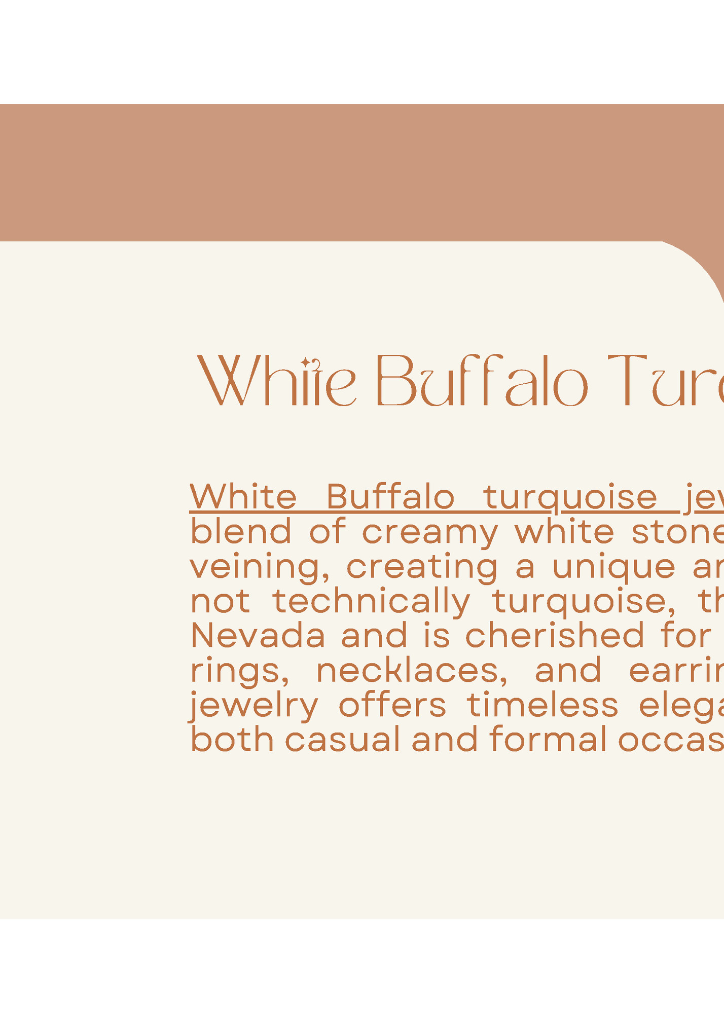 White Buffalo Turquoise Jewelry