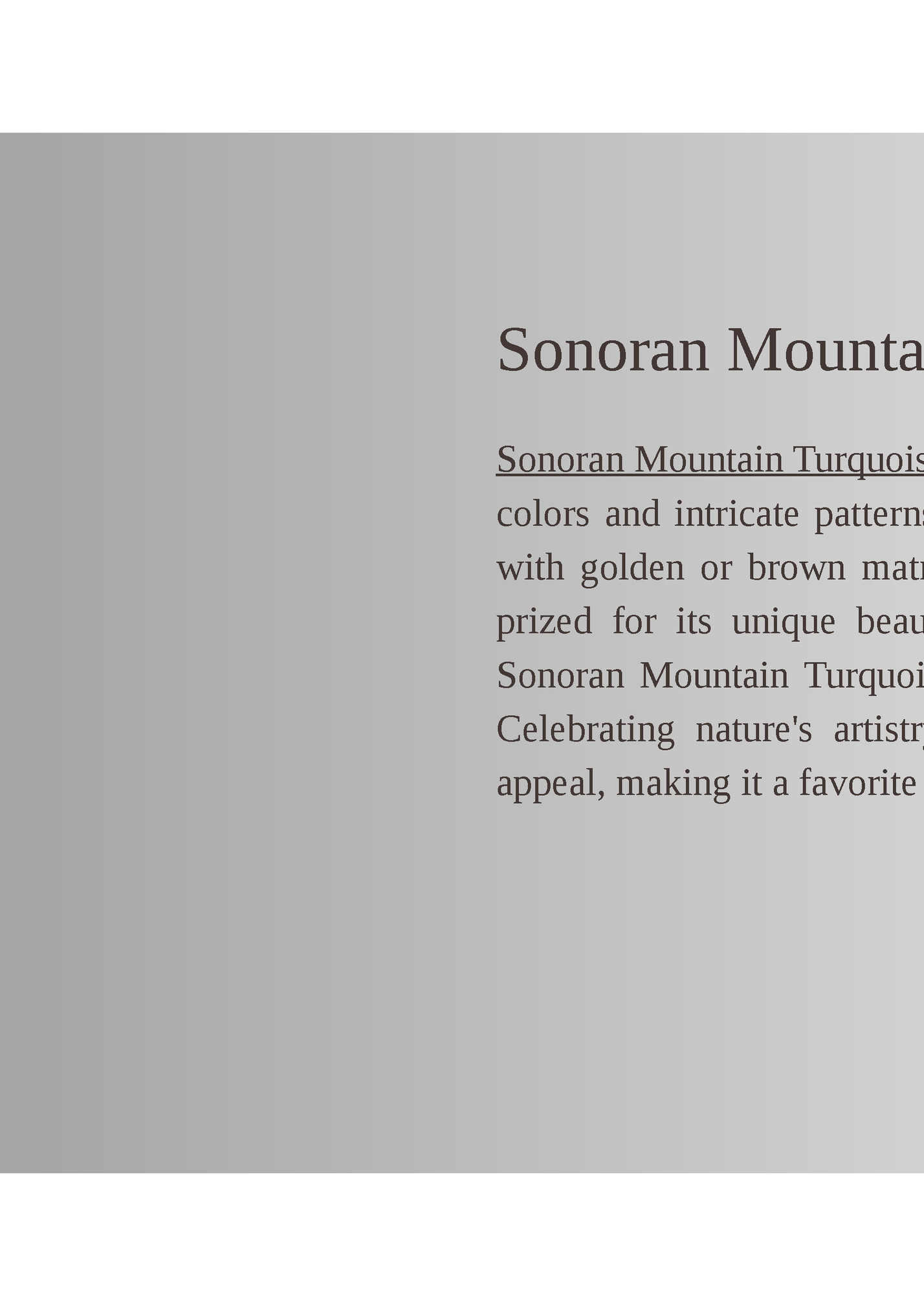 Sonoran Mountain Turquoise Jewelry