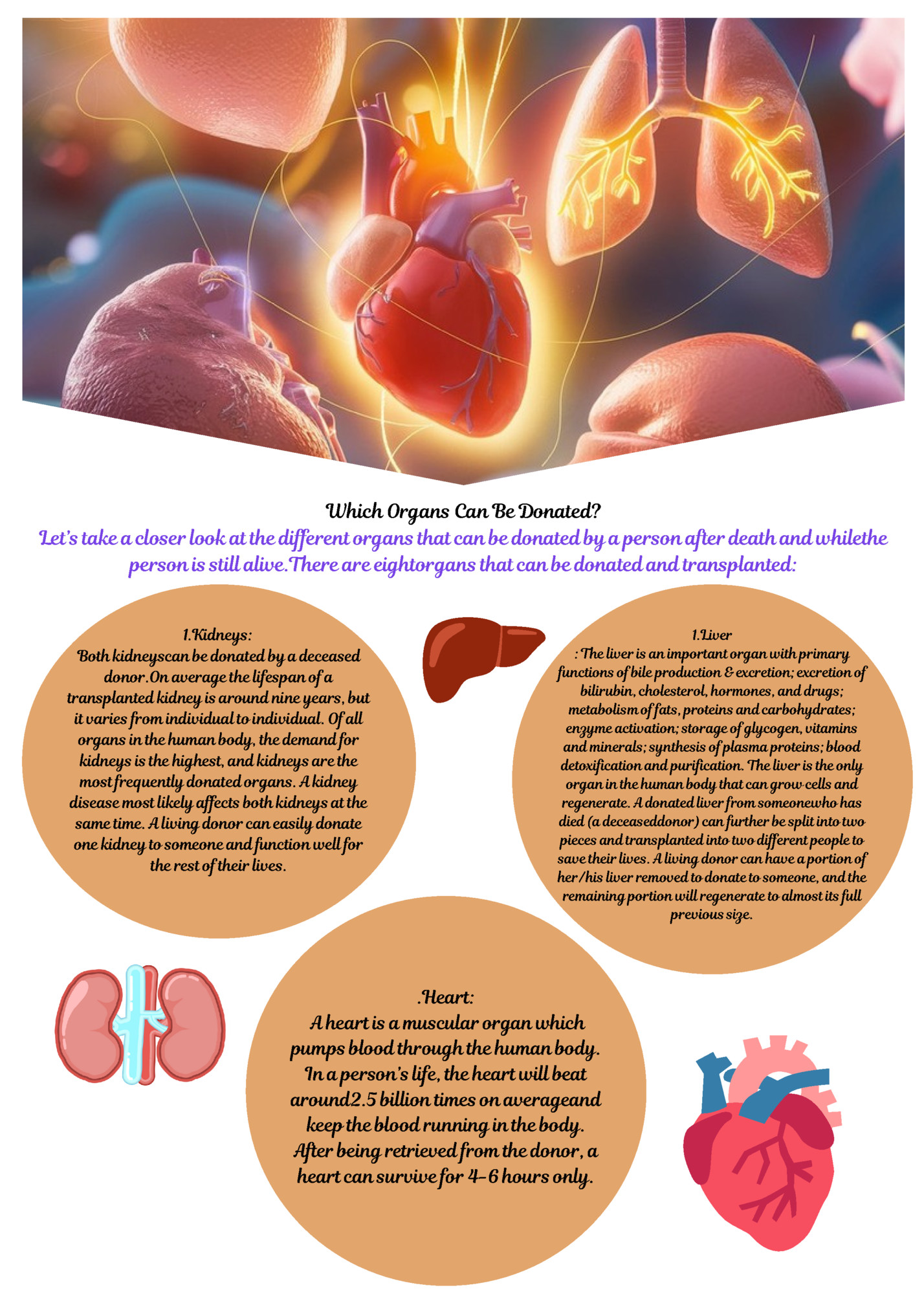 Which Organs Can Be Donated?