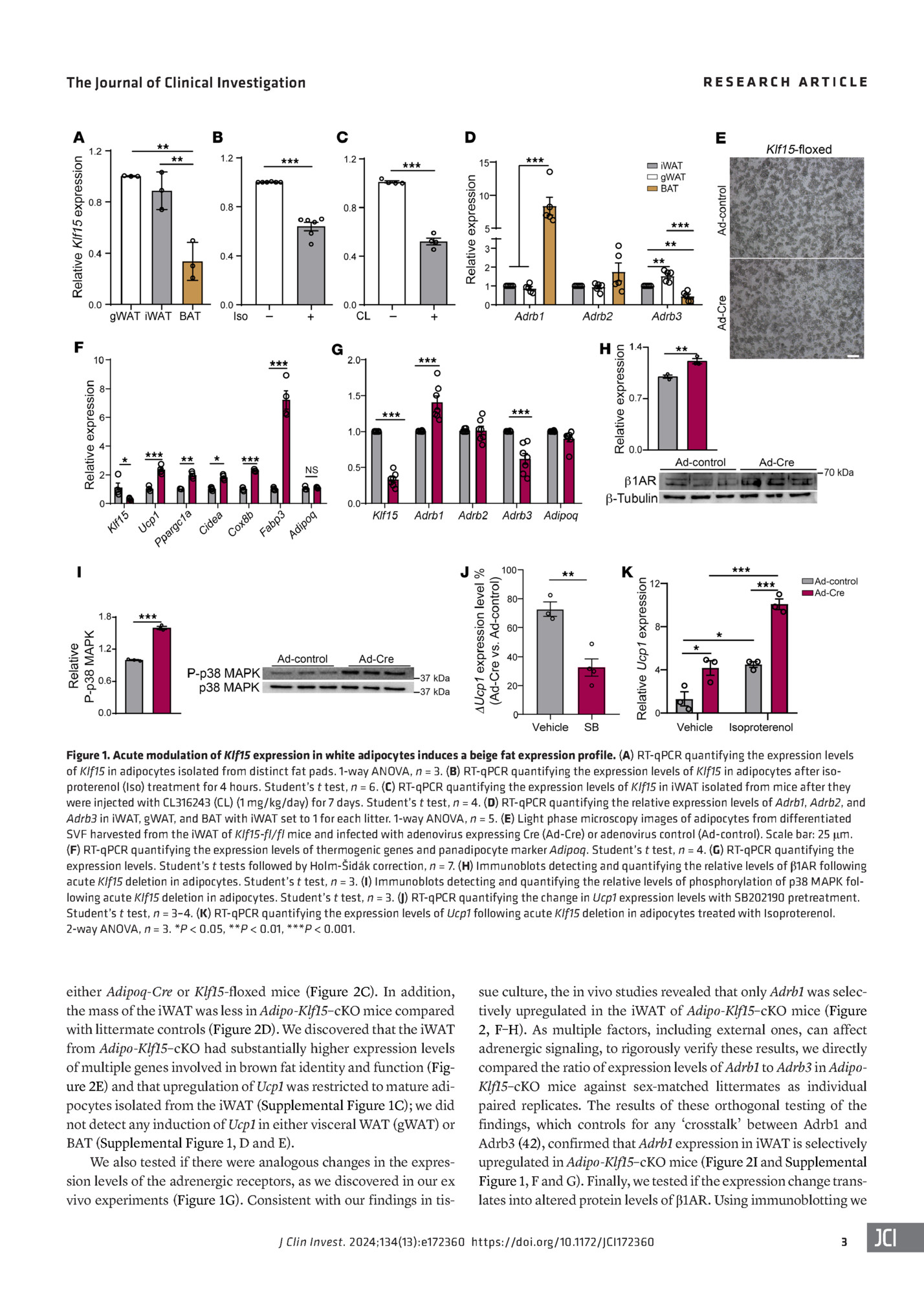 RESEARCH ARTICLE