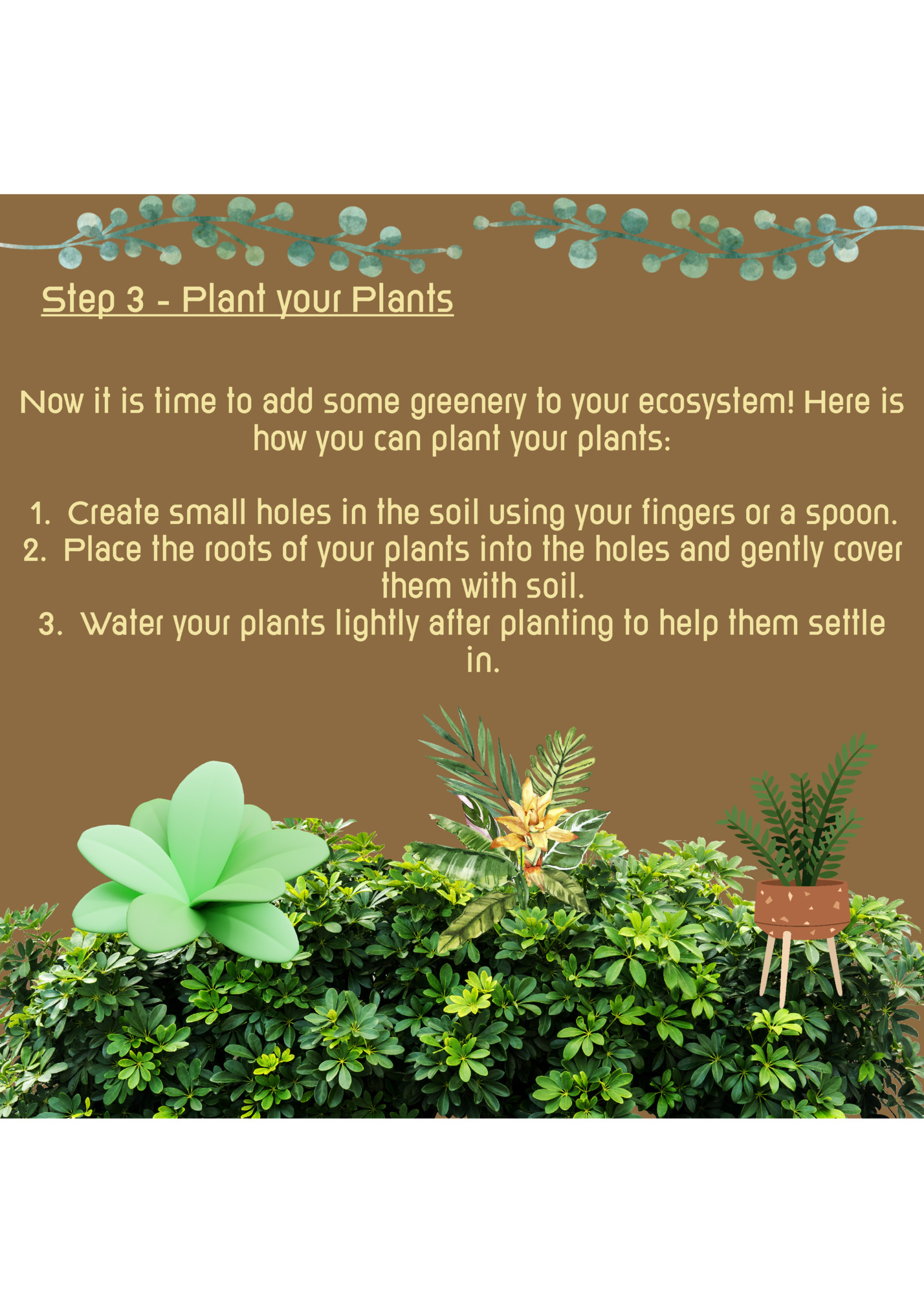 Step 3 - Plant your Plants