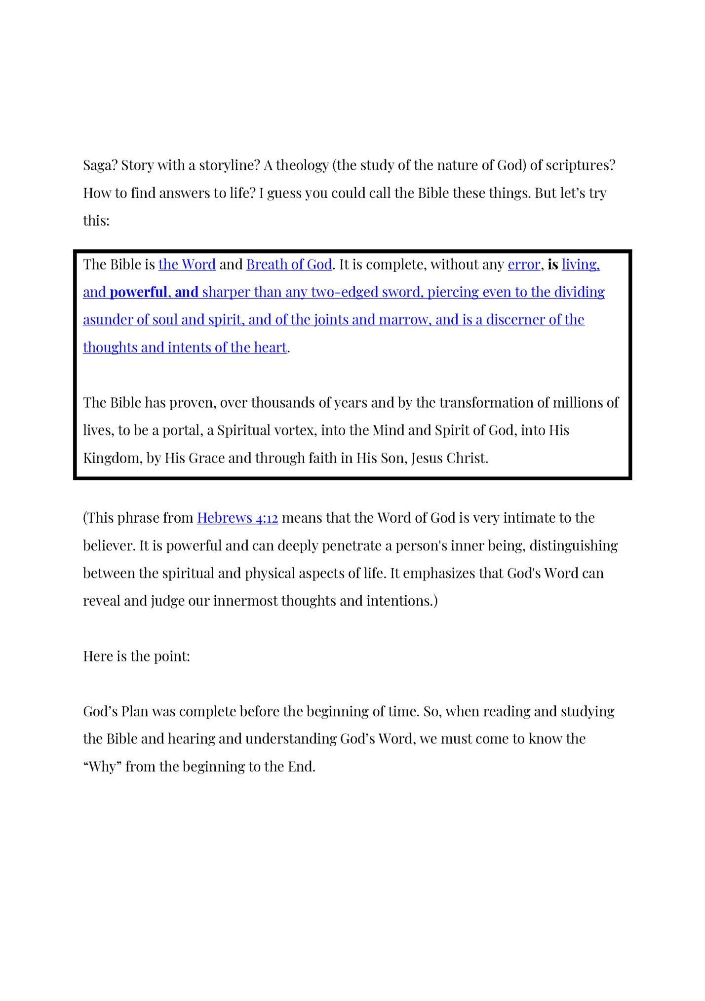 Saga? Story with a storyline? A theology (the study of the nature of God) of scriptures?