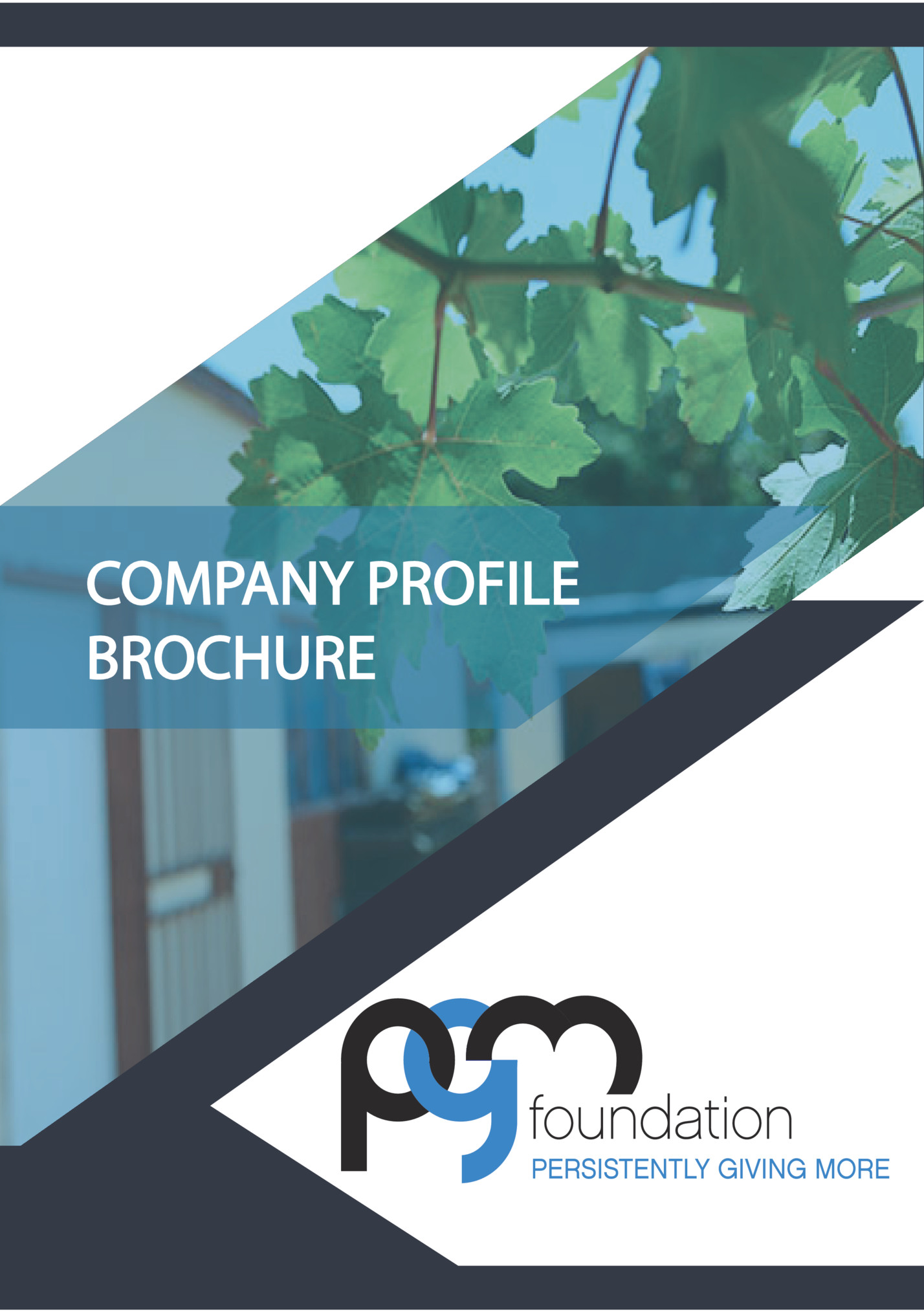 COMPANY PROFILE