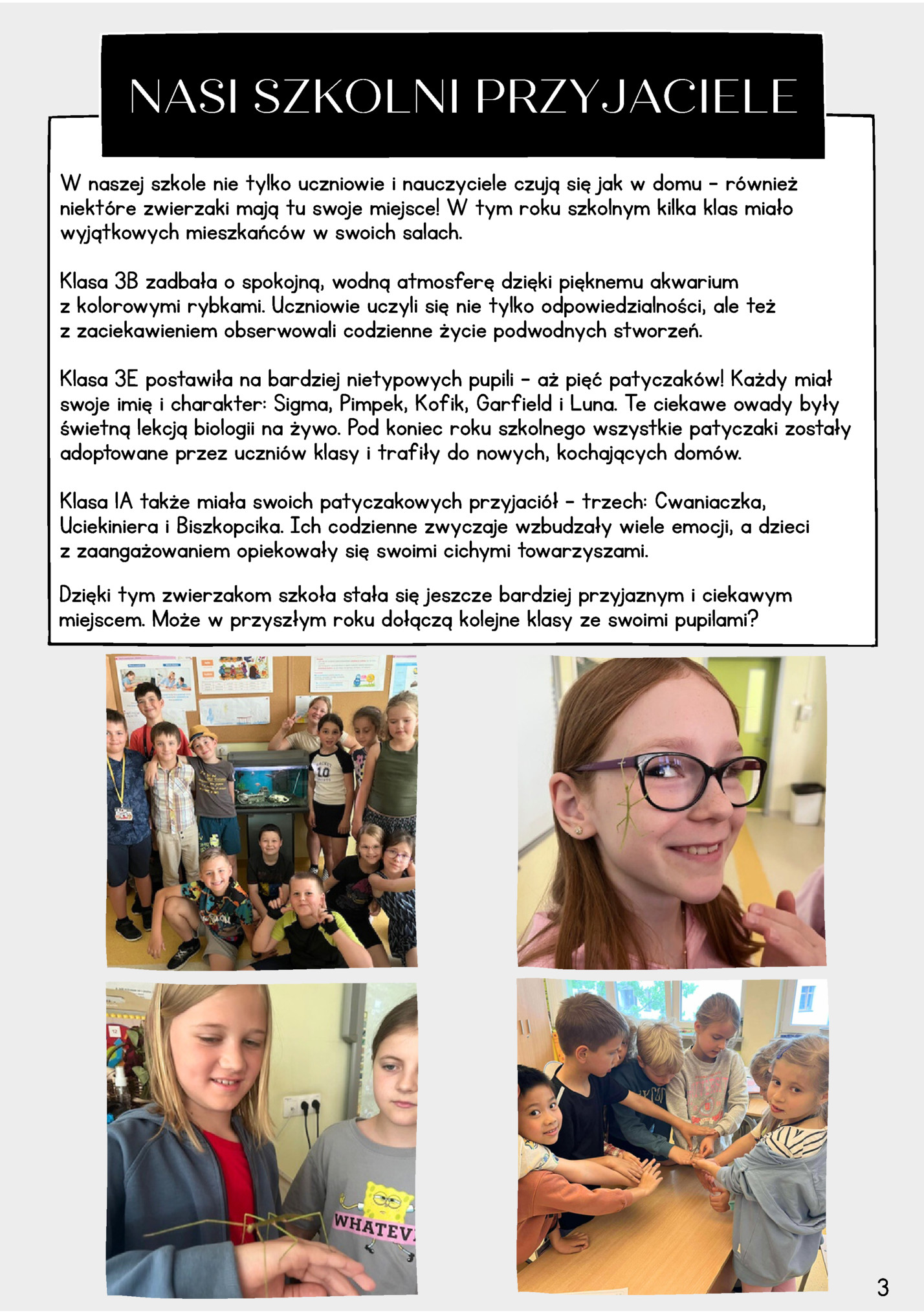 NASI SZKOLNI PRZYJACIELE NASI SZKOLNI PRZYJACIELE