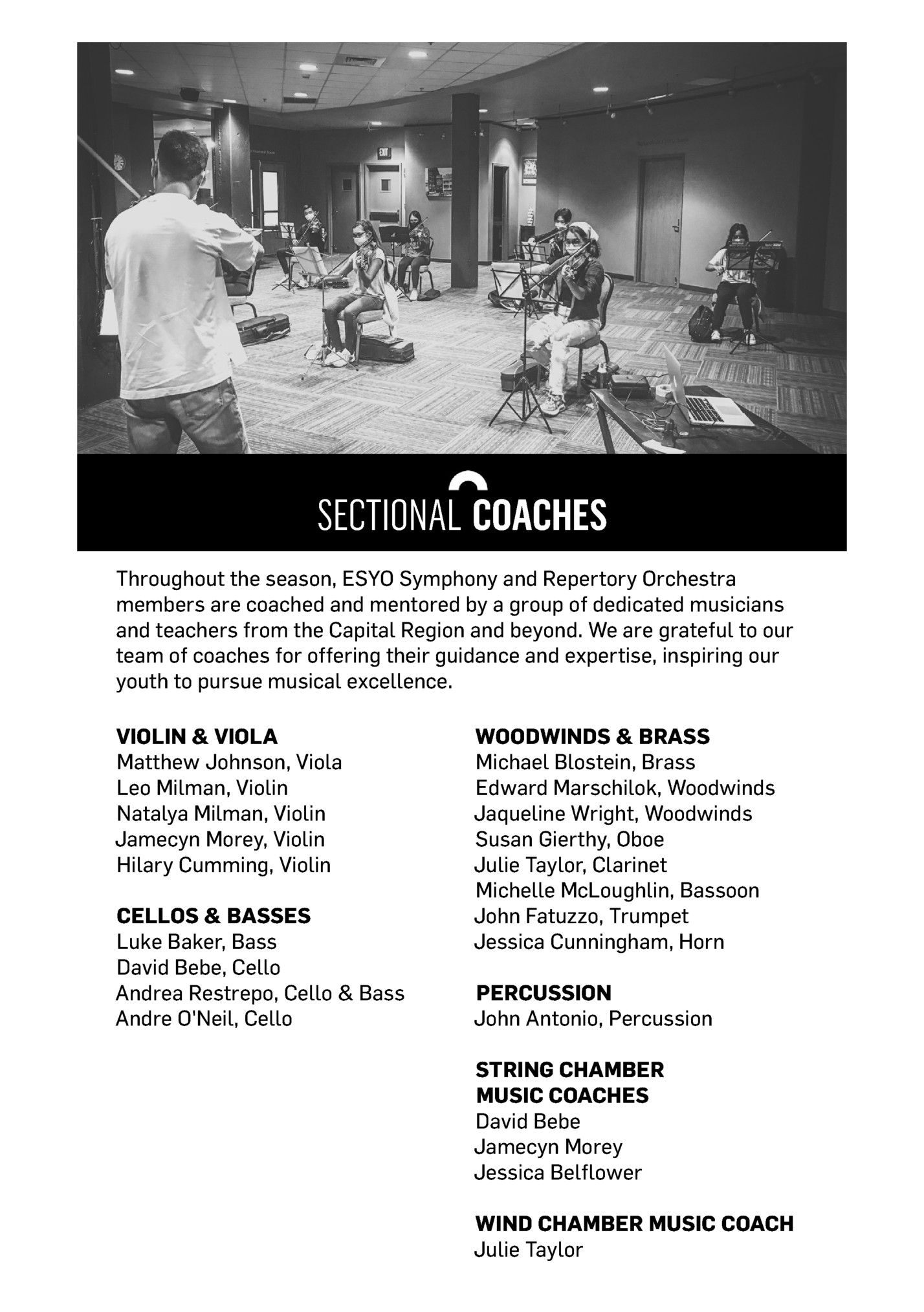 SECTIONAL COACHES