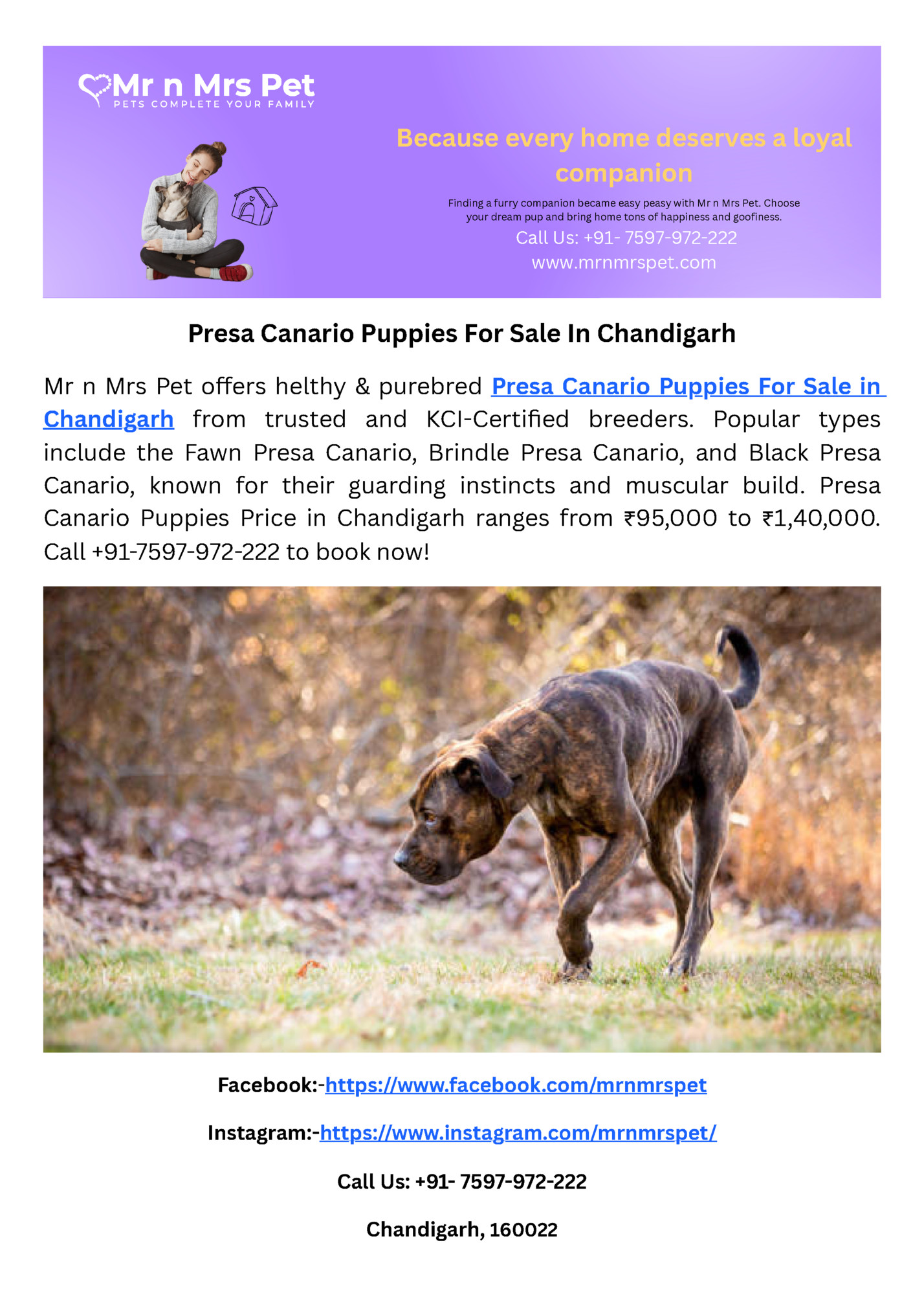 Because every home deserves a loyal Because every home deserves a loyal