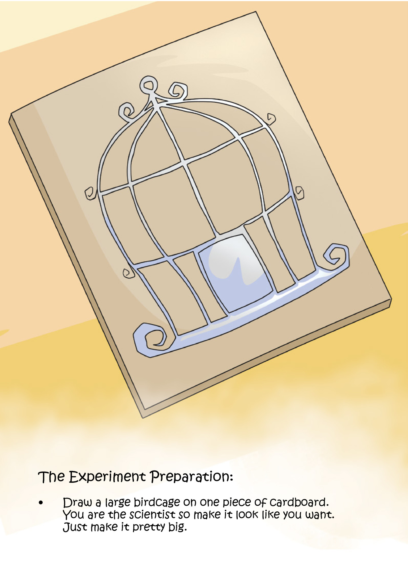 The Experiment Preparation: