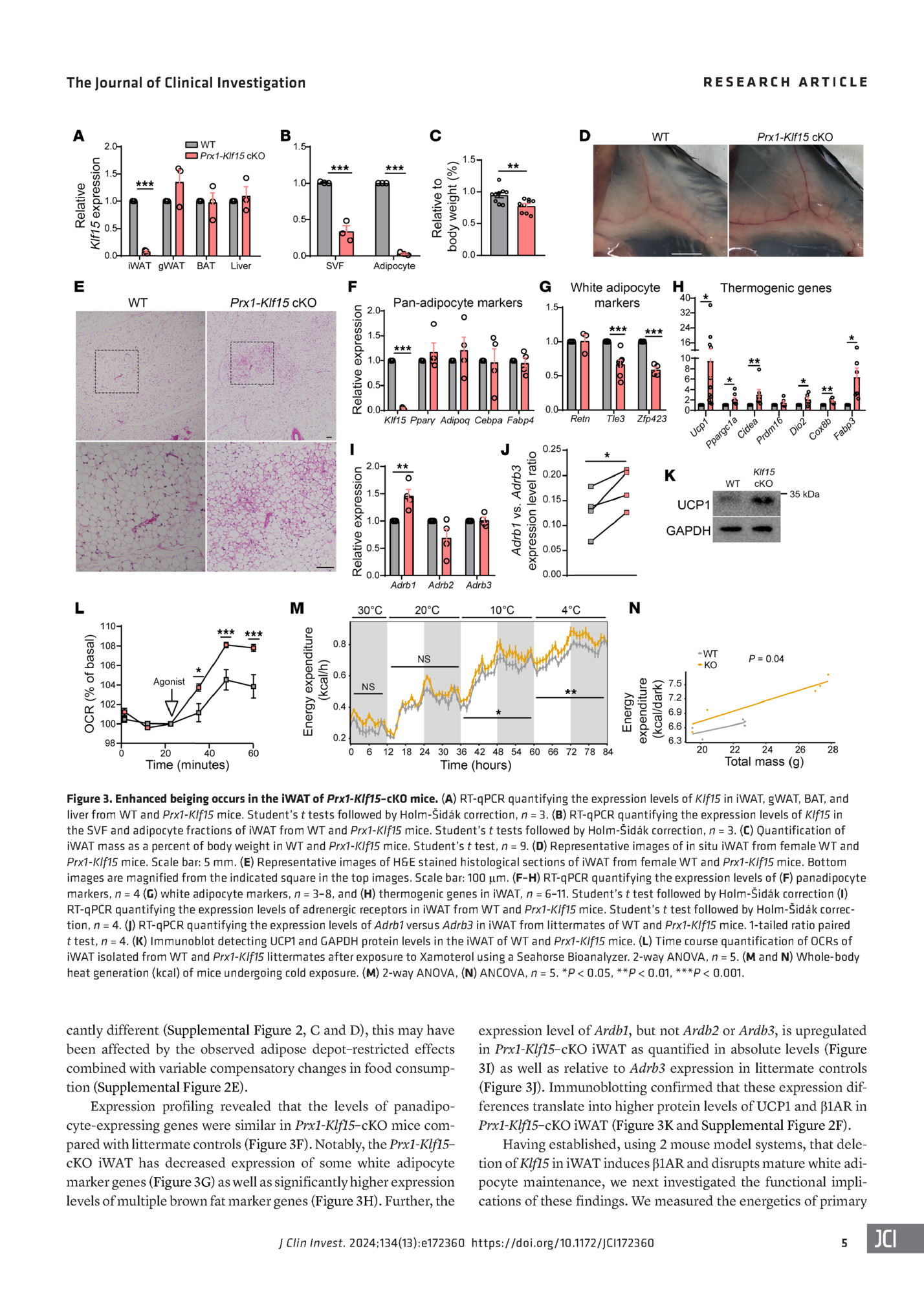 RESEARCH ARTICLE