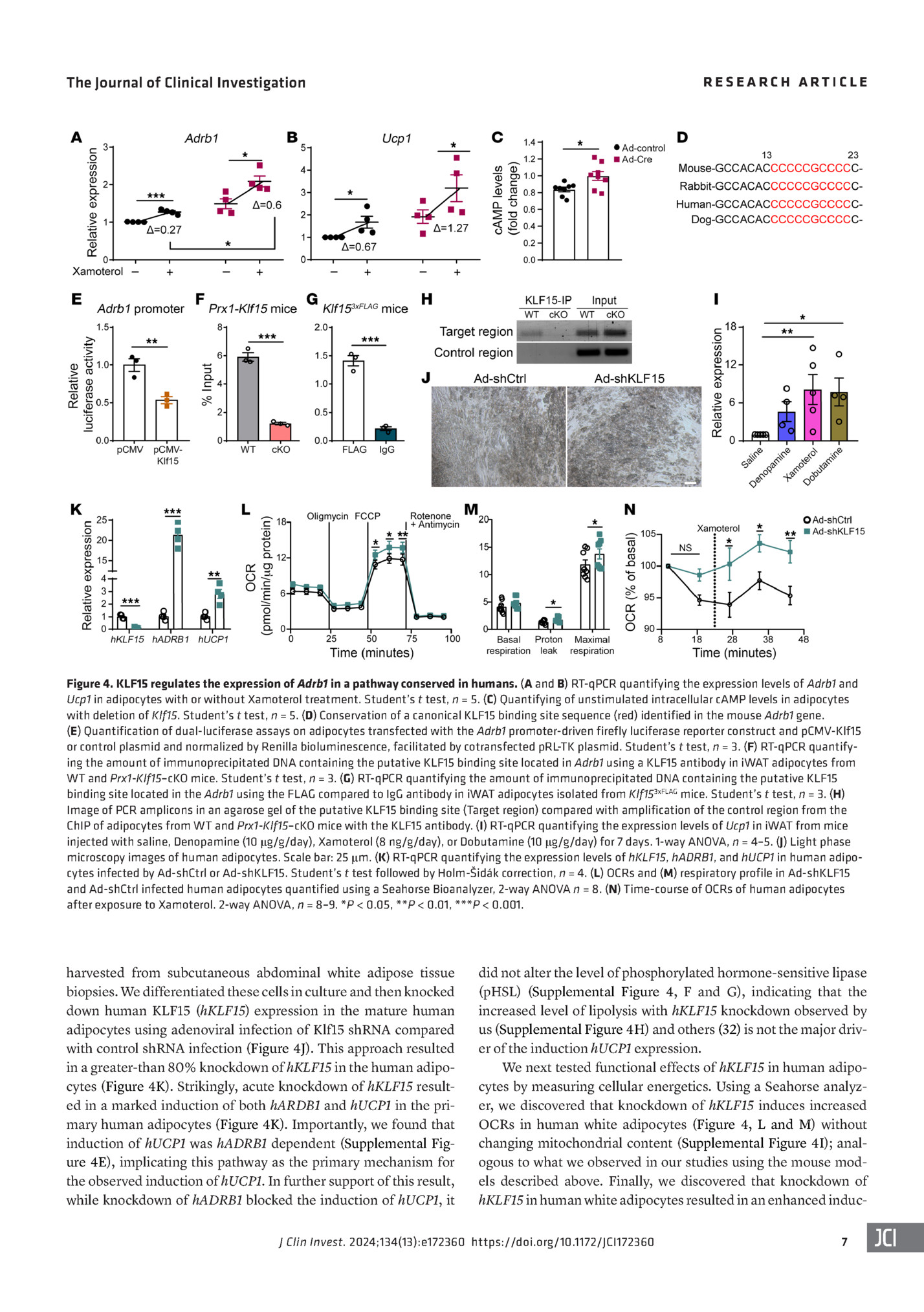 RESEARCH ARTICLE