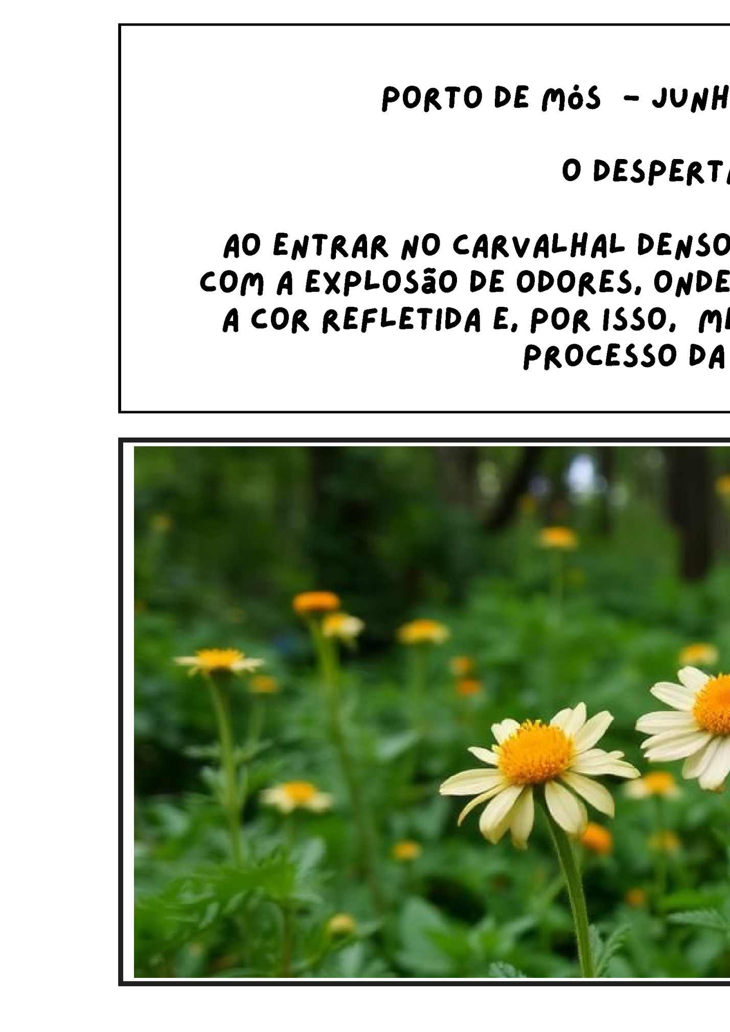 Porto de Mós - junho de 2075 - 7 da manhã Porto de Mós - junho de 2075 - 7 da manhã