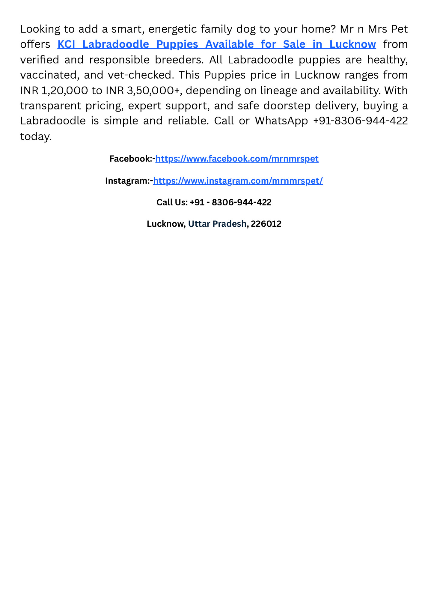 Looking to add a smart, energetic family dog to your home? Mr n Mrs Pet