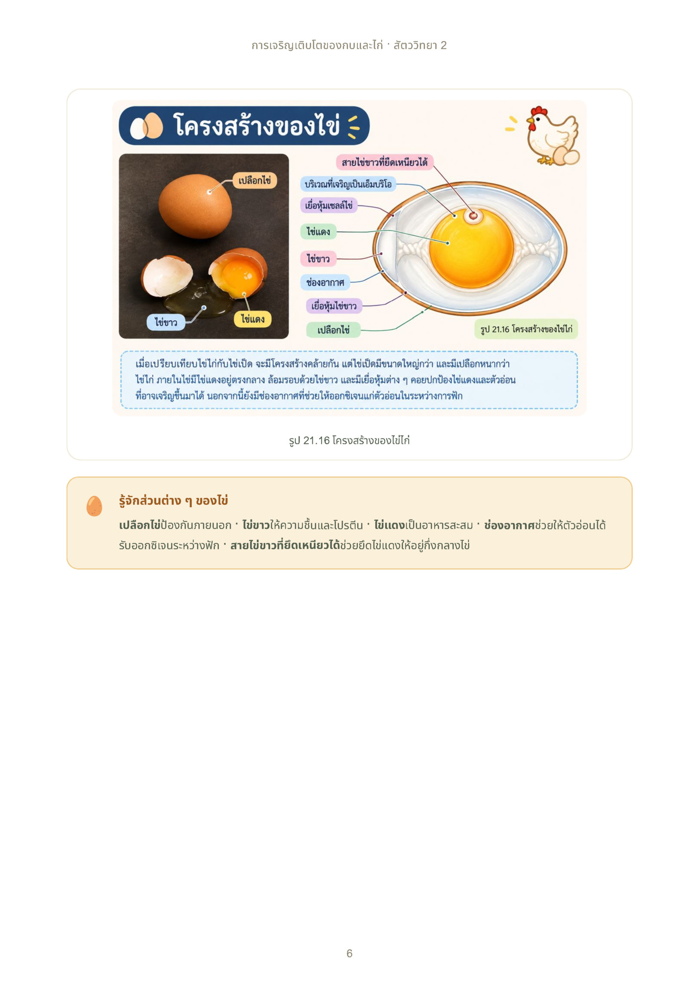 การเจริญเติบโตของกบและไก่ · สัตววิทยา 2