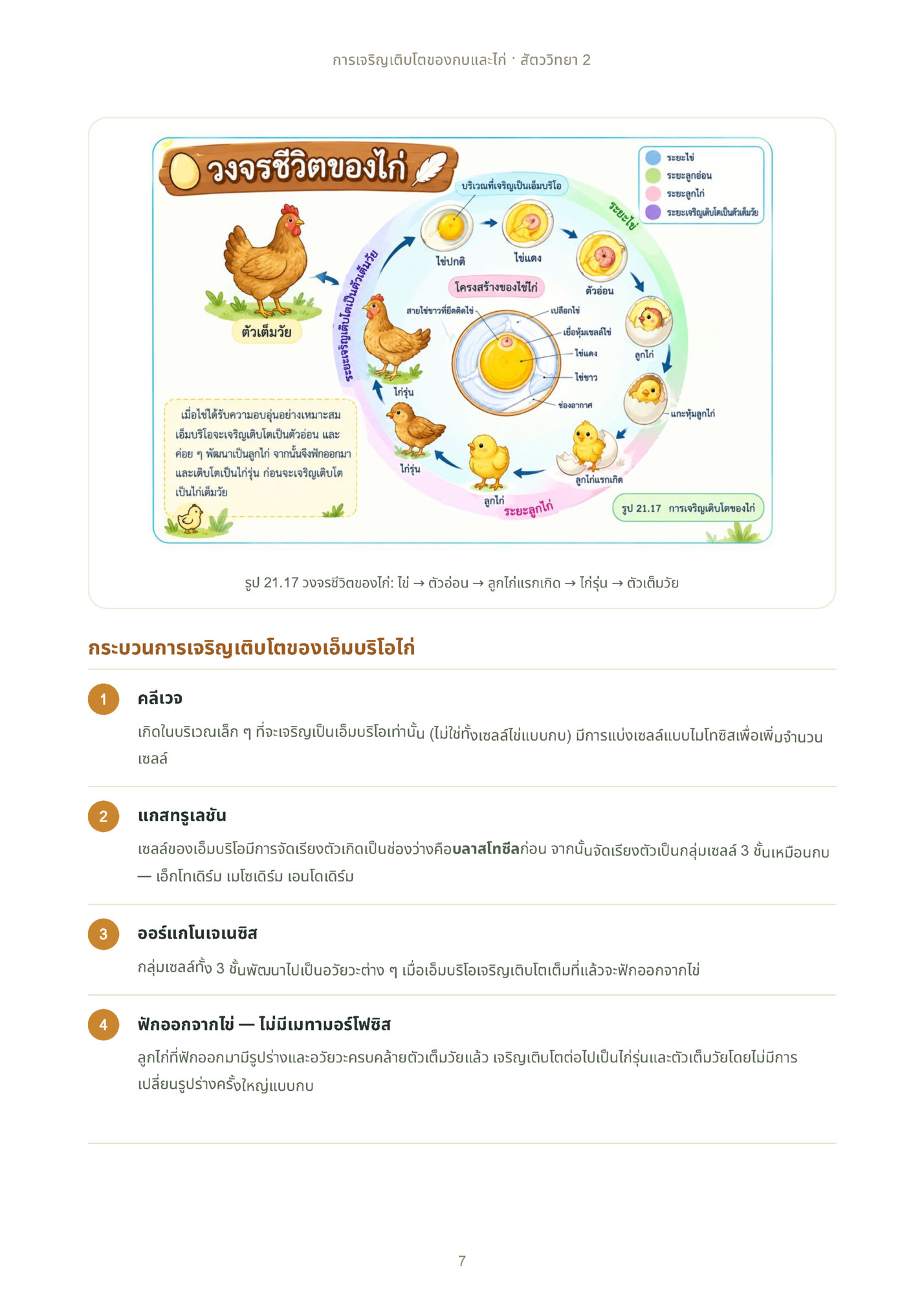 การเจริญเติบโตของกบและไก่ · สัตววิทยา 2