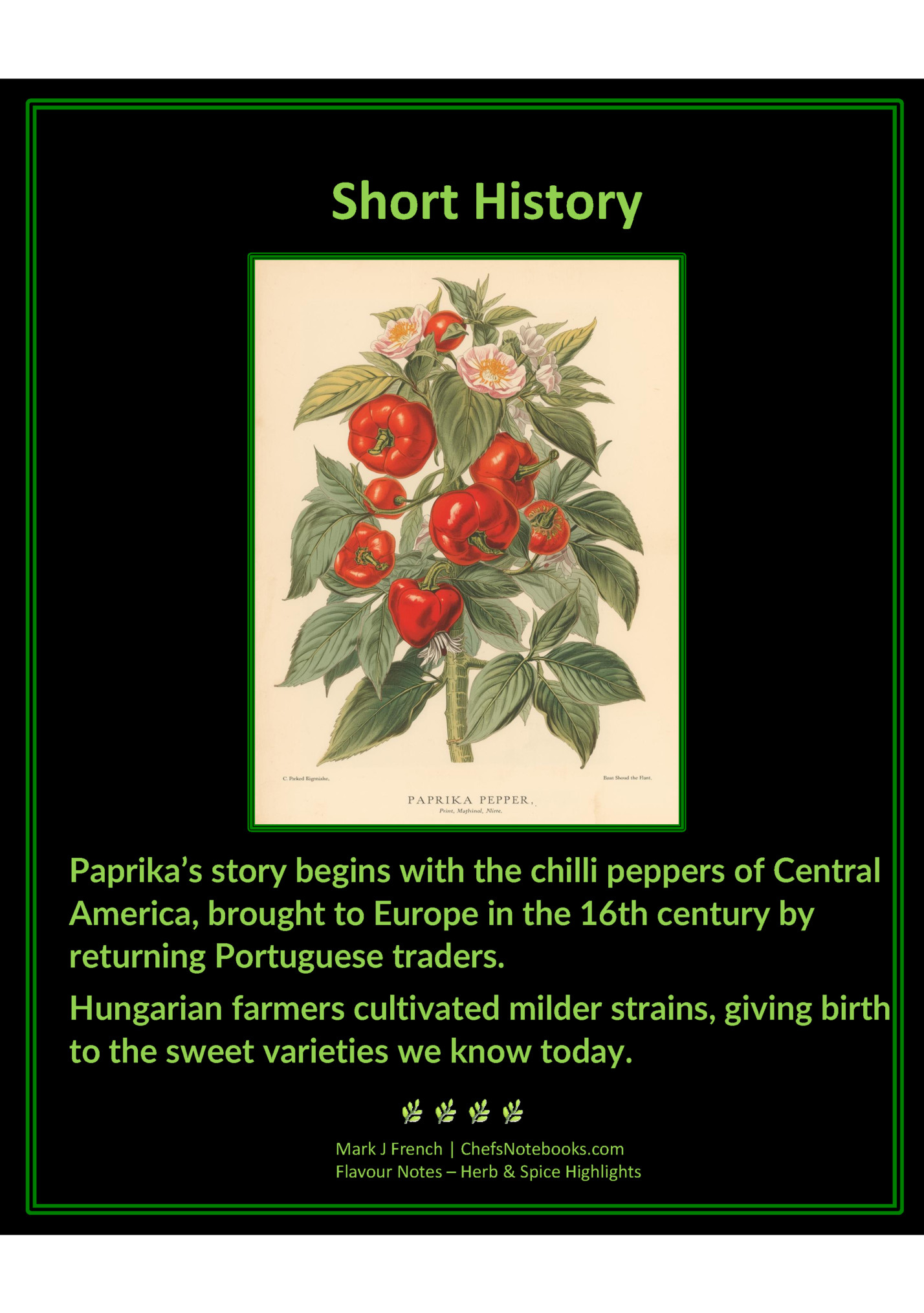 Short History