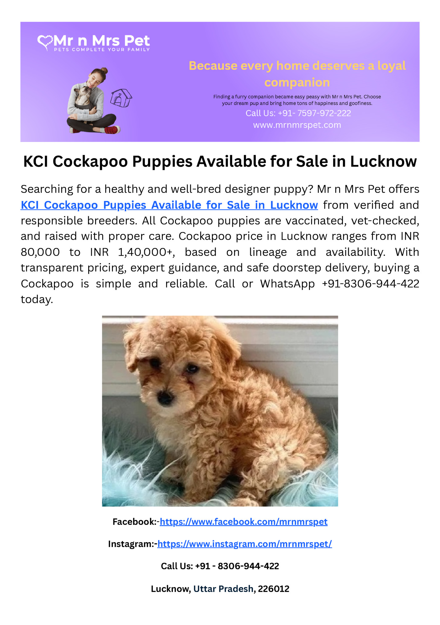 Because every home deserves a loyal Because every home deserves a loyal