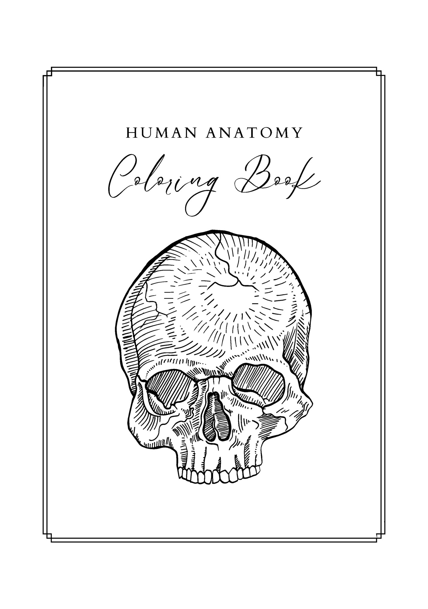 HUMAN ANATOMY