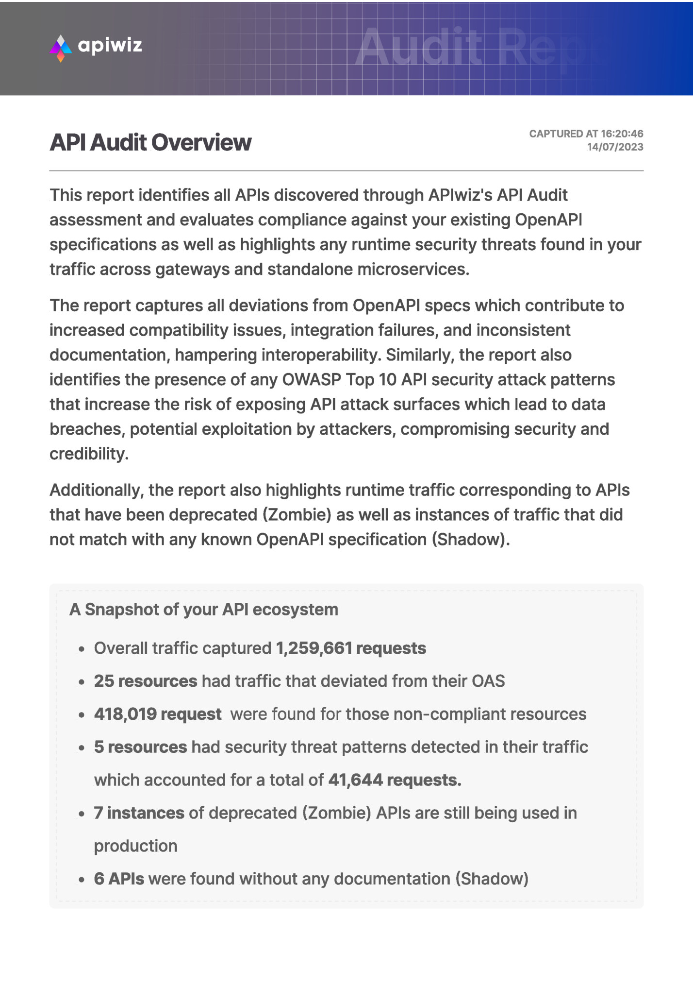 API Audit Overview API Audit Overview