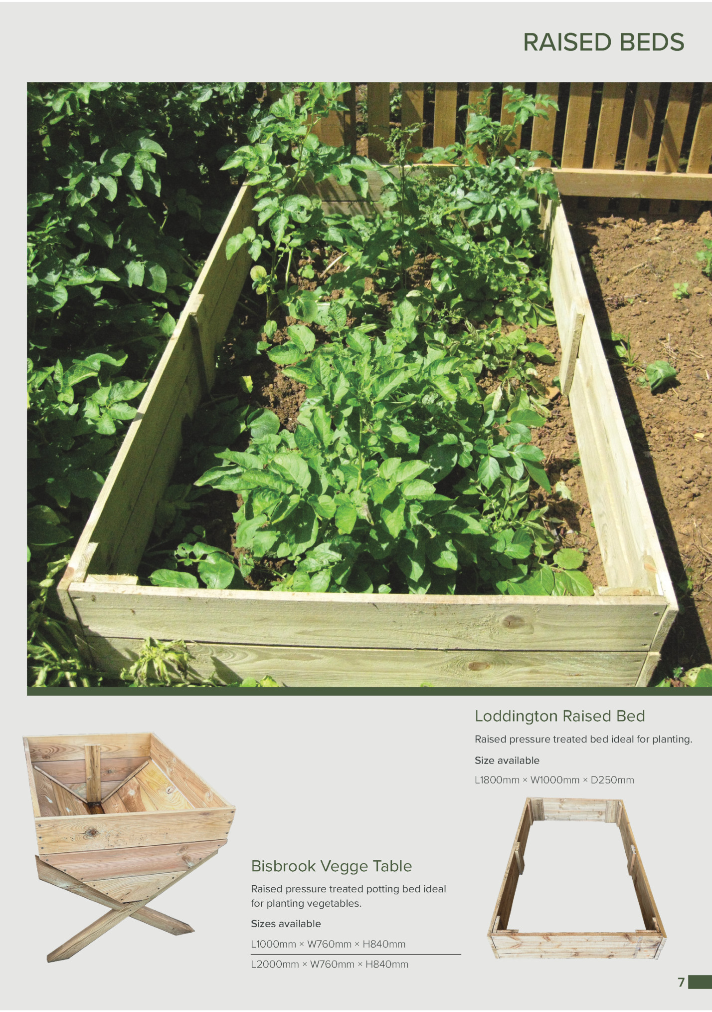 RAISED BEDS