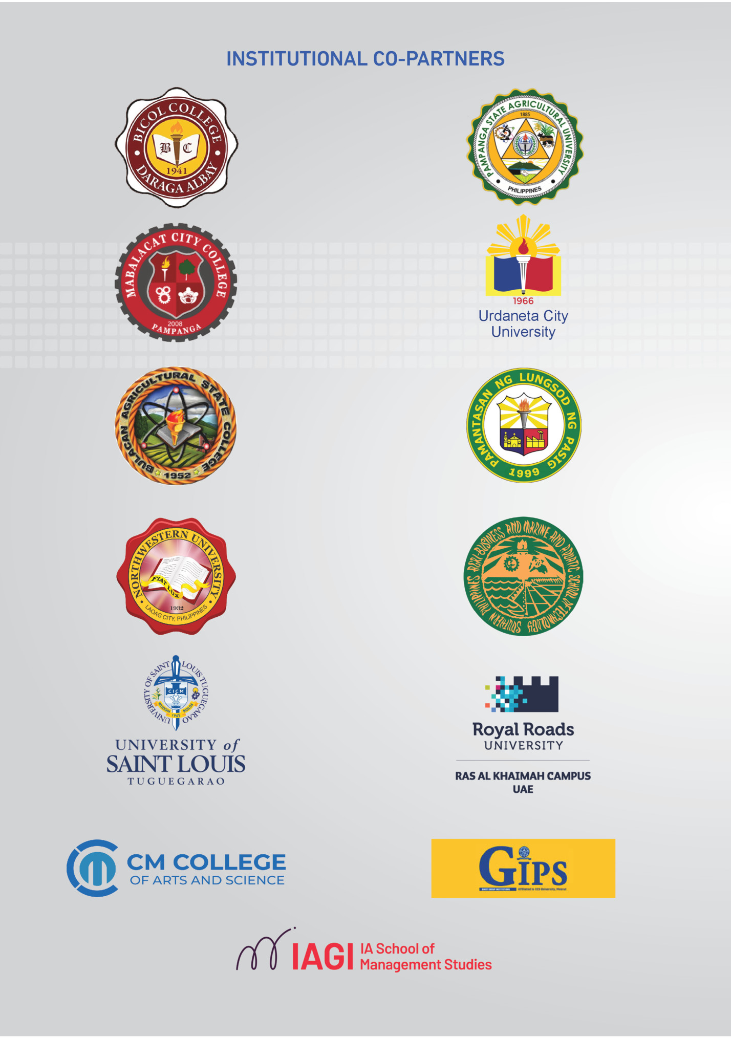 INSTITUTIONAL CO-PARTNERS