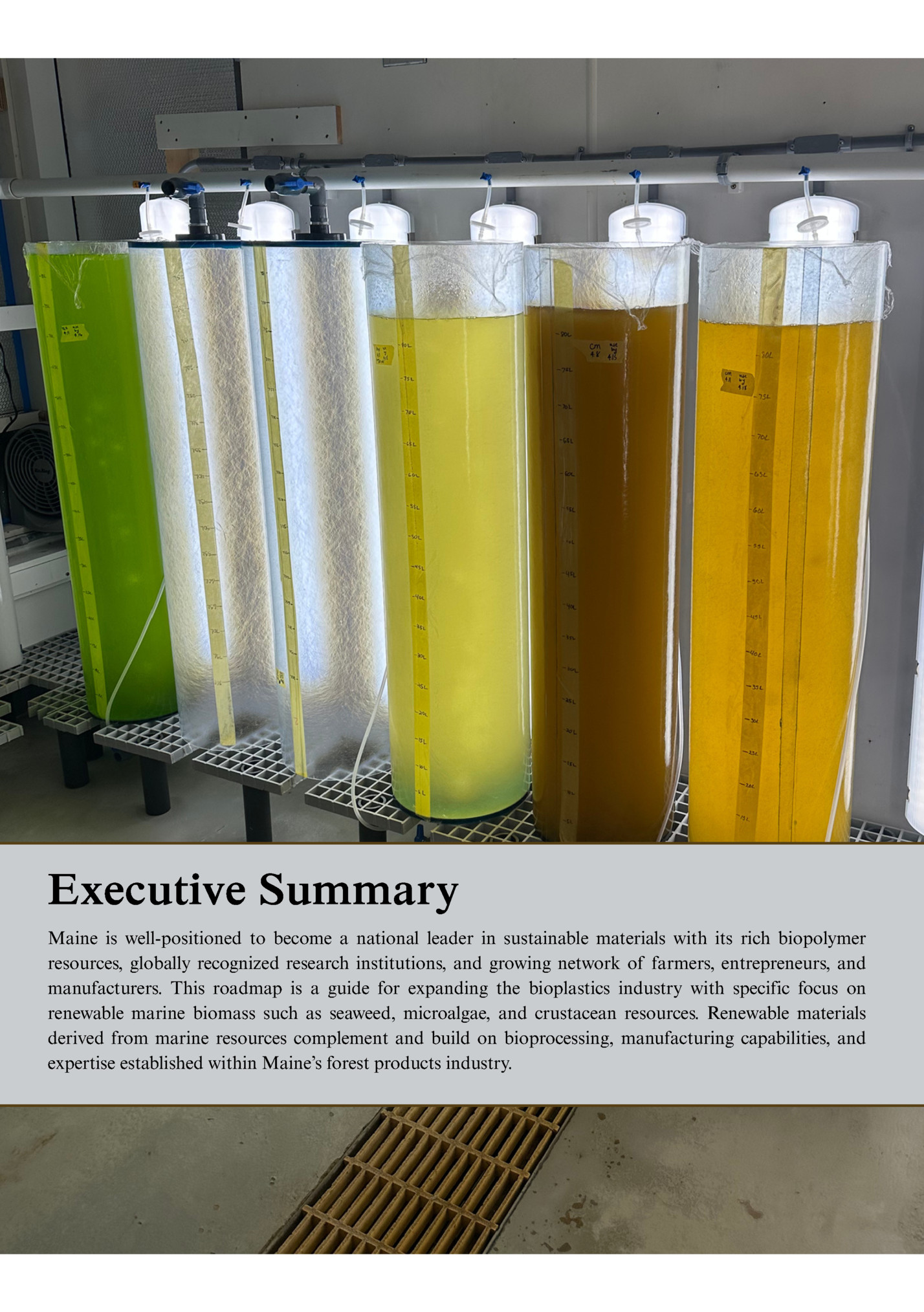 Executive Summary Executive Summary