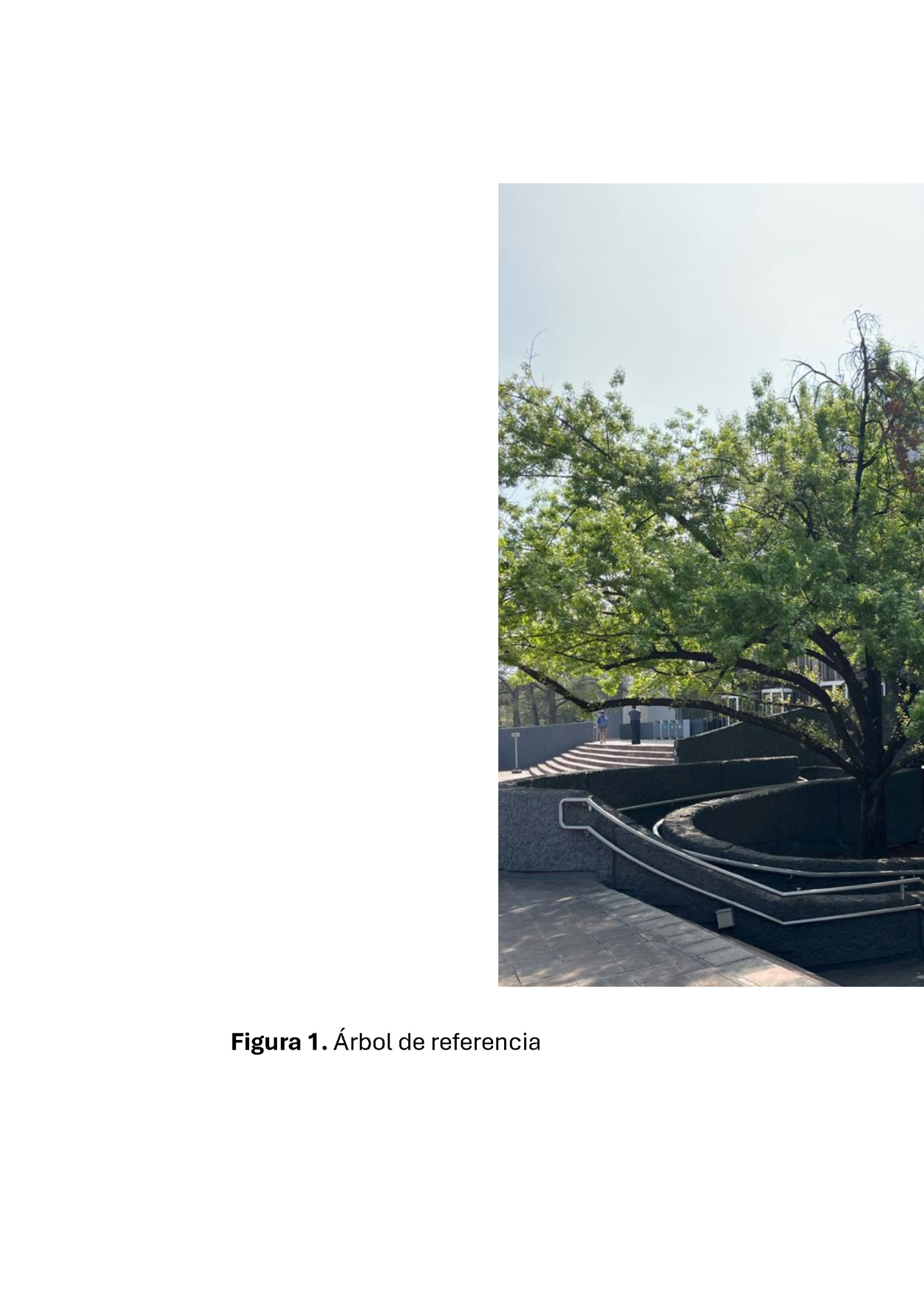 Figura 1. Árbol de referencia