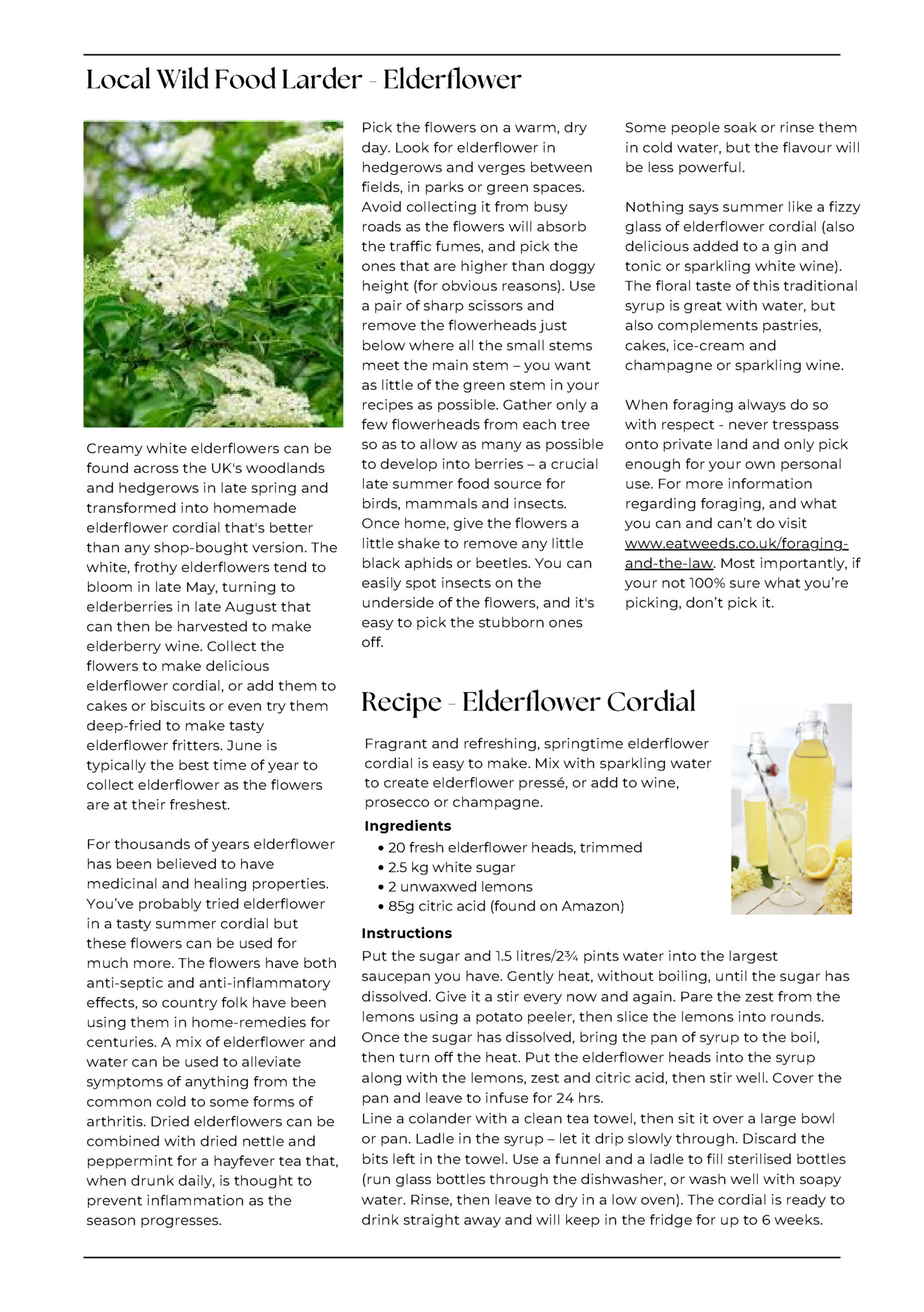 Local Wild Food Larder - Elderflower
