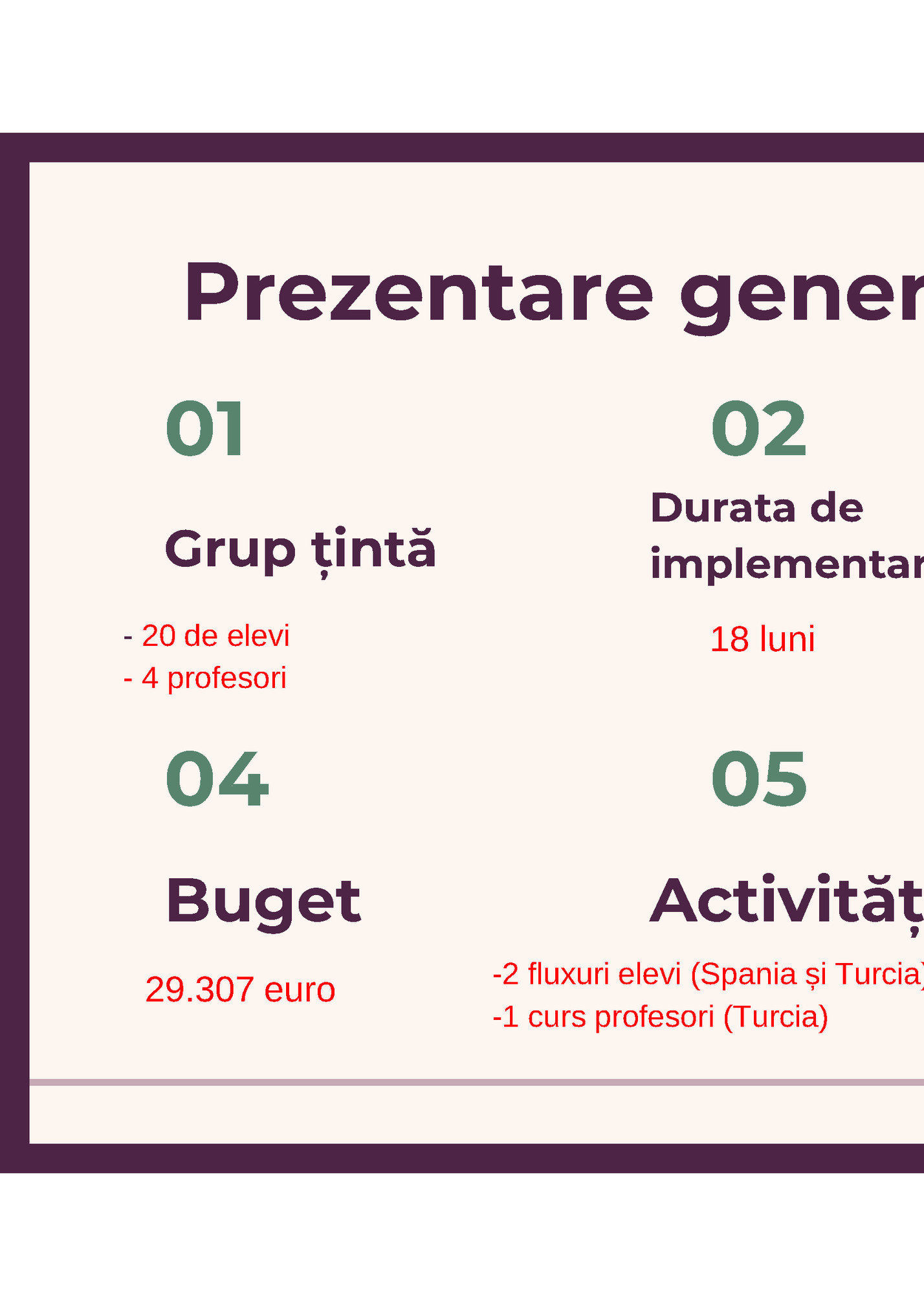 Prezentare generală a proiectului