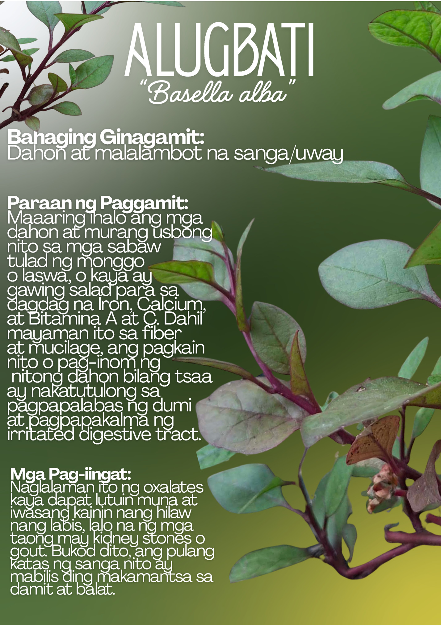 ALUGBATI ALUGBATI
