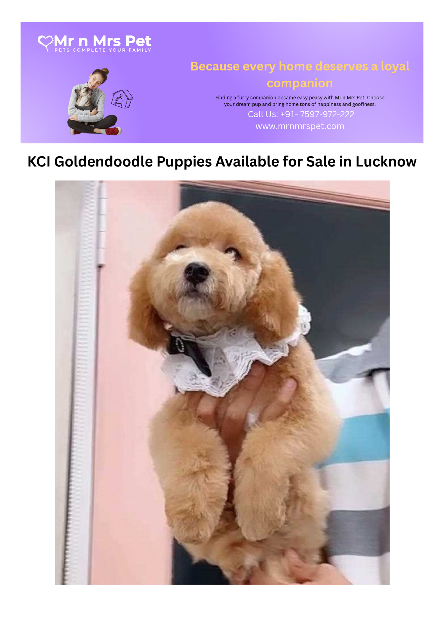 Because every home deserves a loyal