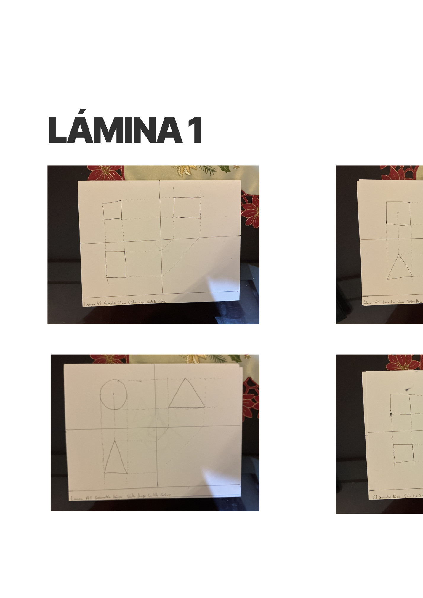 LÁMINA 1 LÁMINA 1