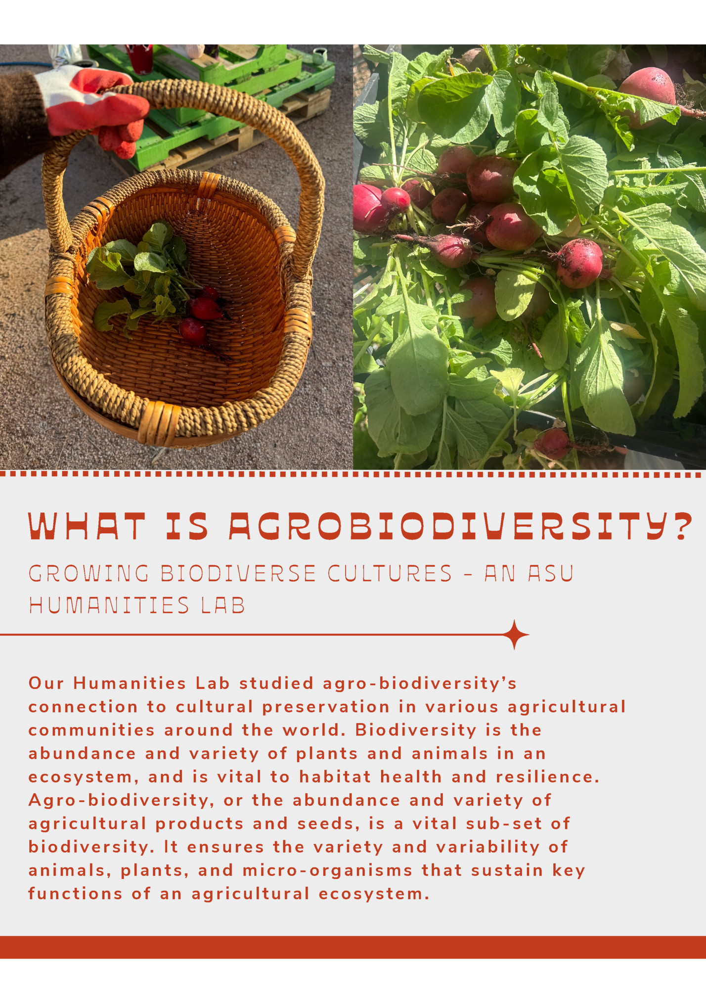 WHAT IS AGROBIODIVERSITY?