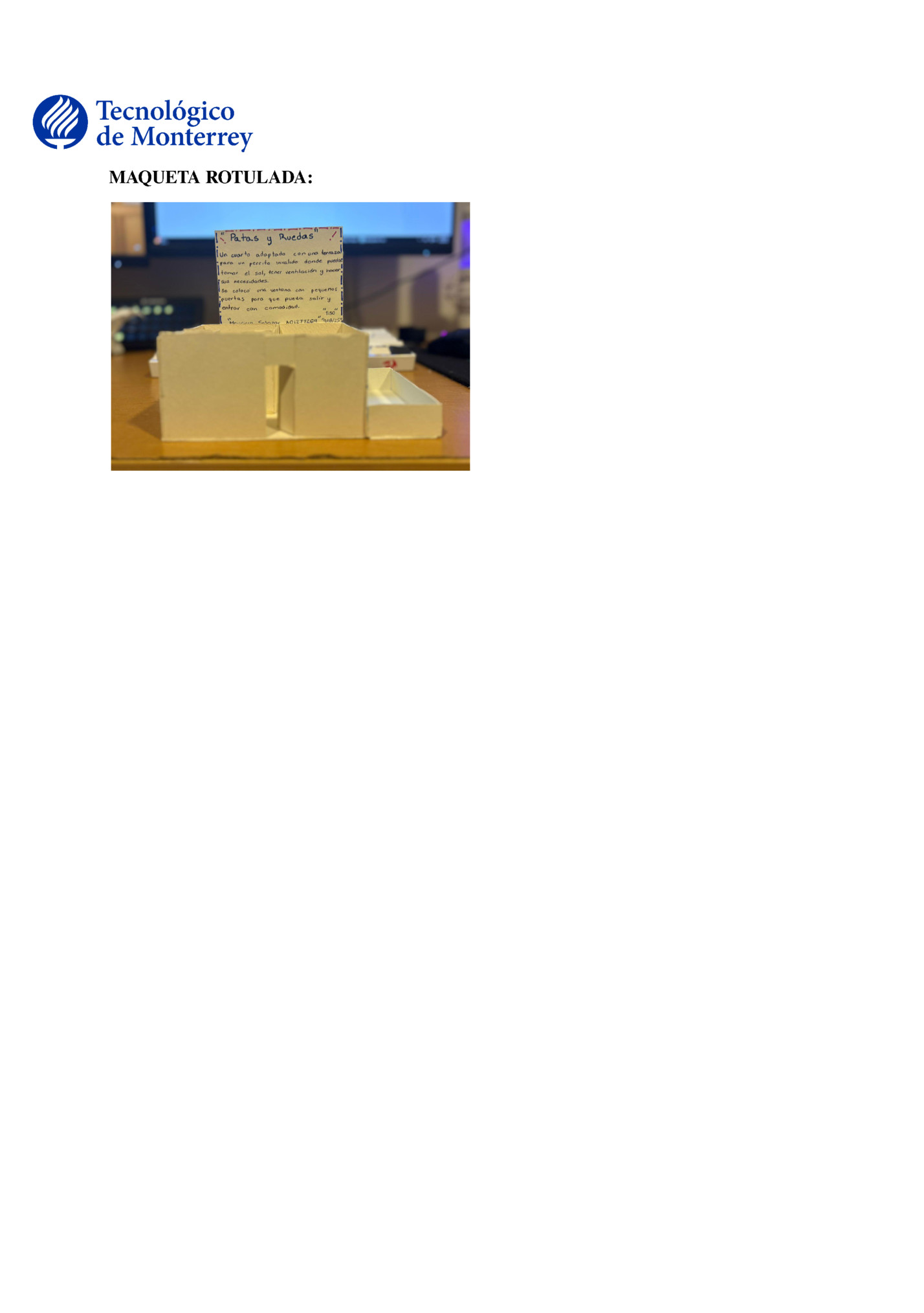 MAQUETA ROTULADA: