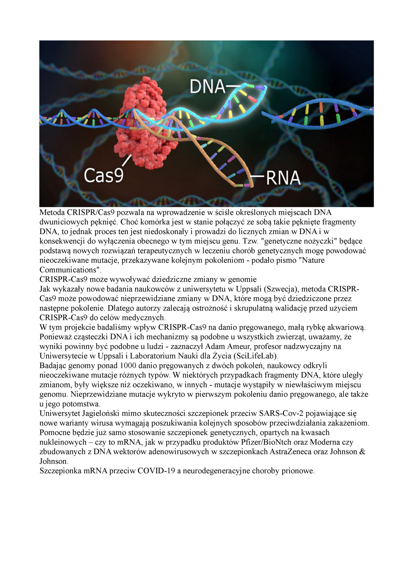 Metoda CRISPR/Cas9 pozwala na wprowadzenie w ściśle określonych miejscach DNA