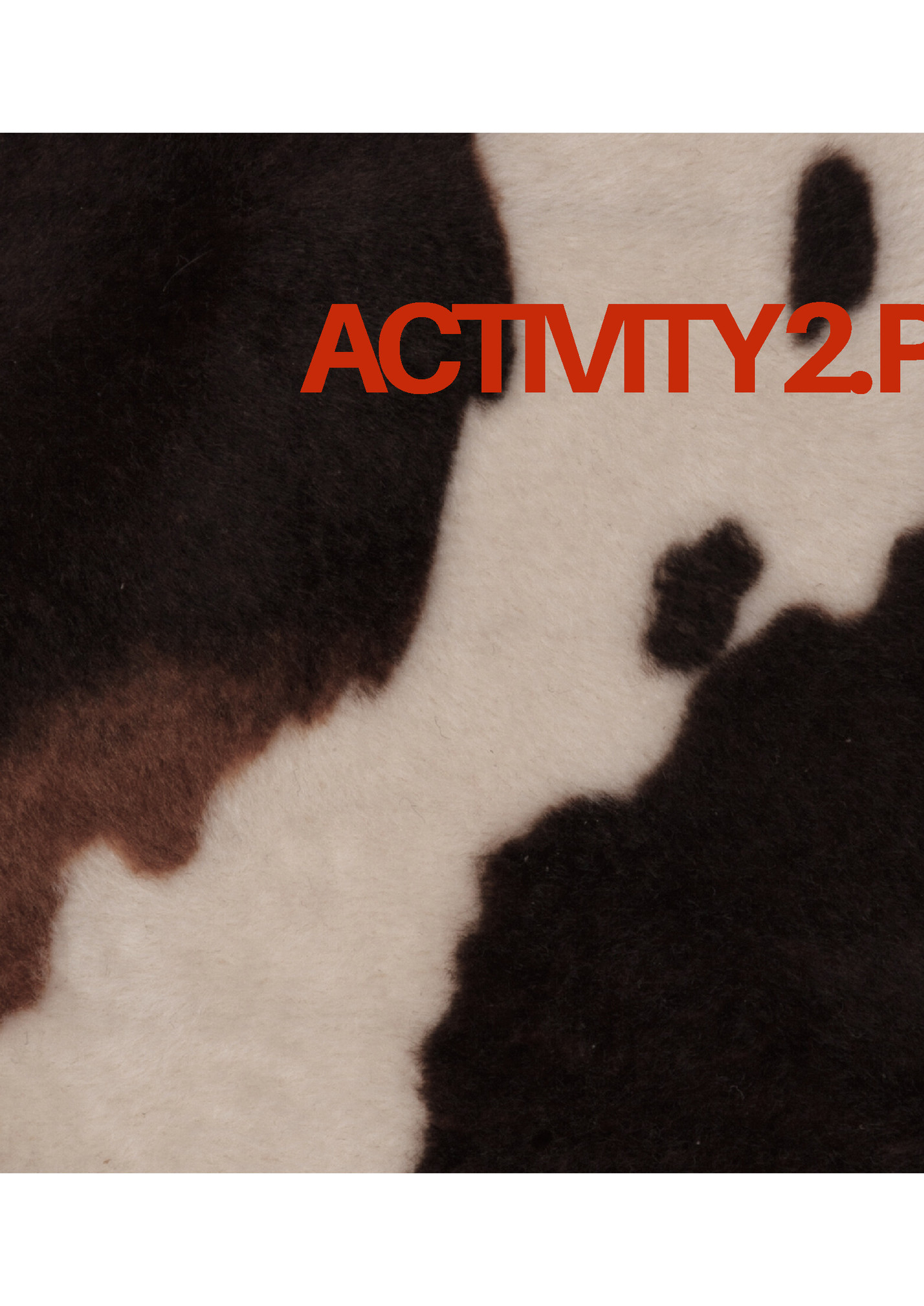 ACTIVITY2.PERCEPTION