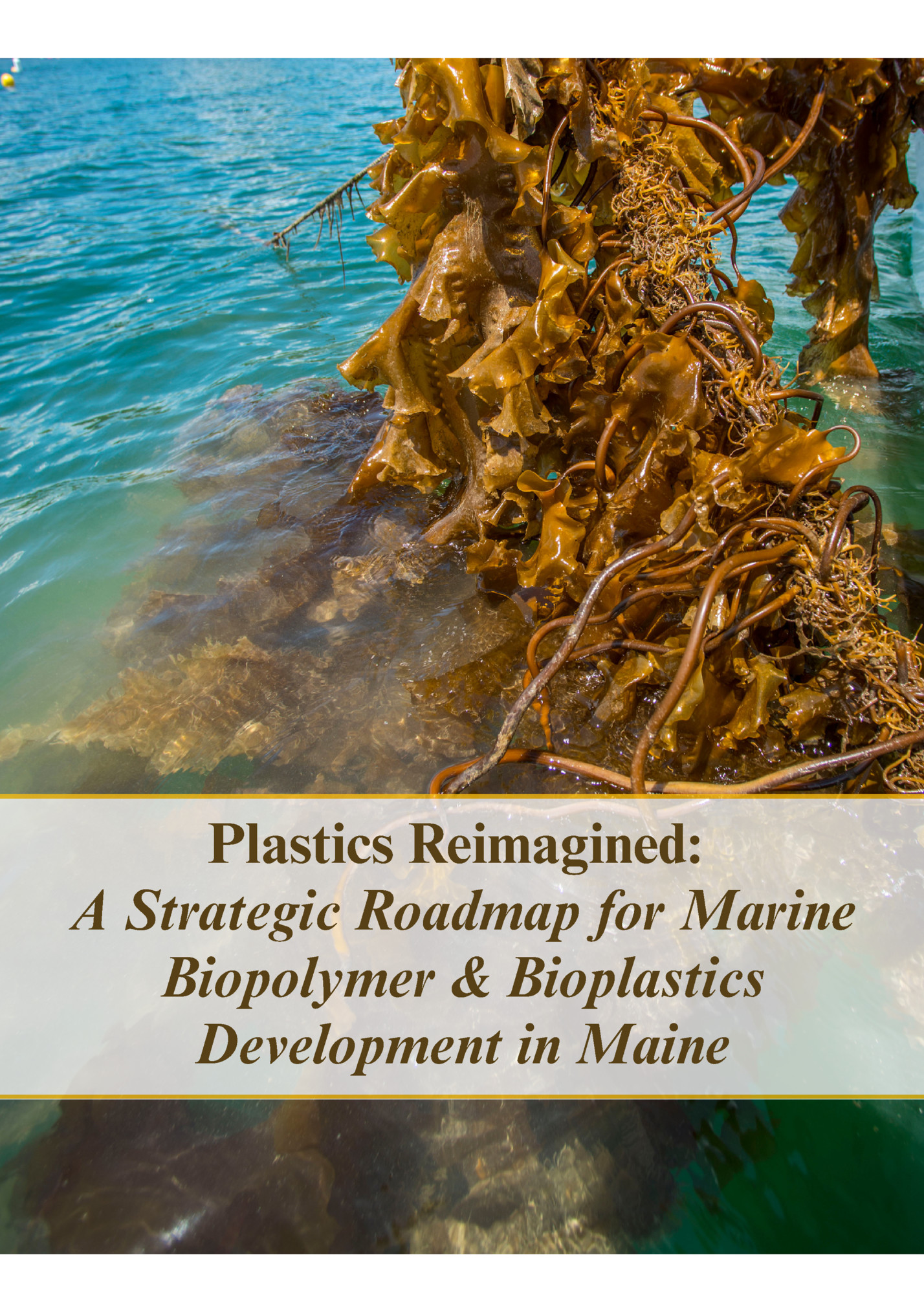 Plastics Reimagined: