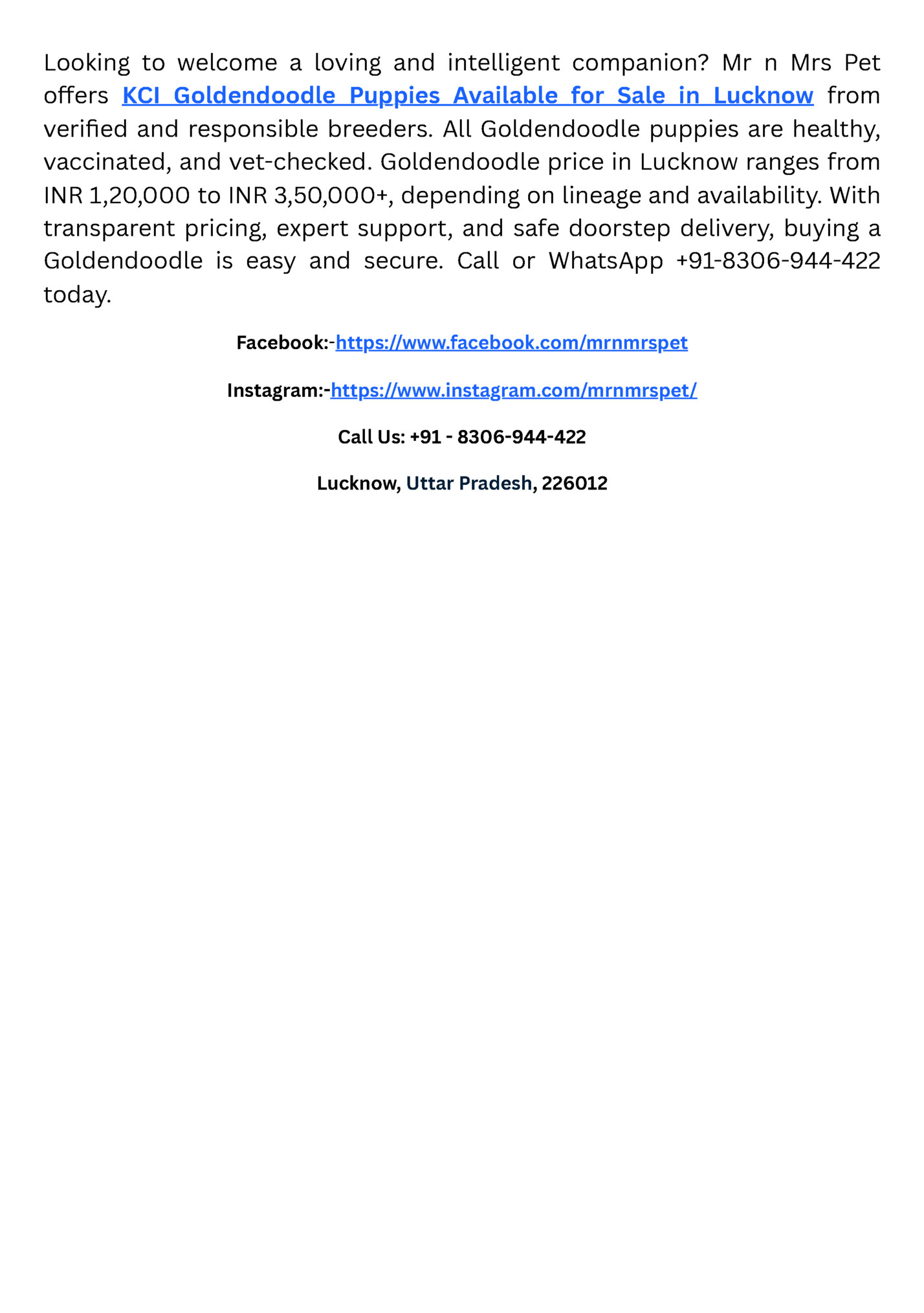 Looking to welcome a loving and intelligent companion? Mr n Mrs Pet