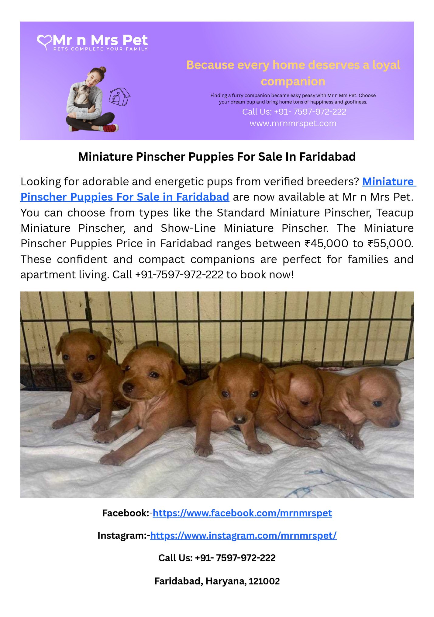 Because every home deserves a loyal