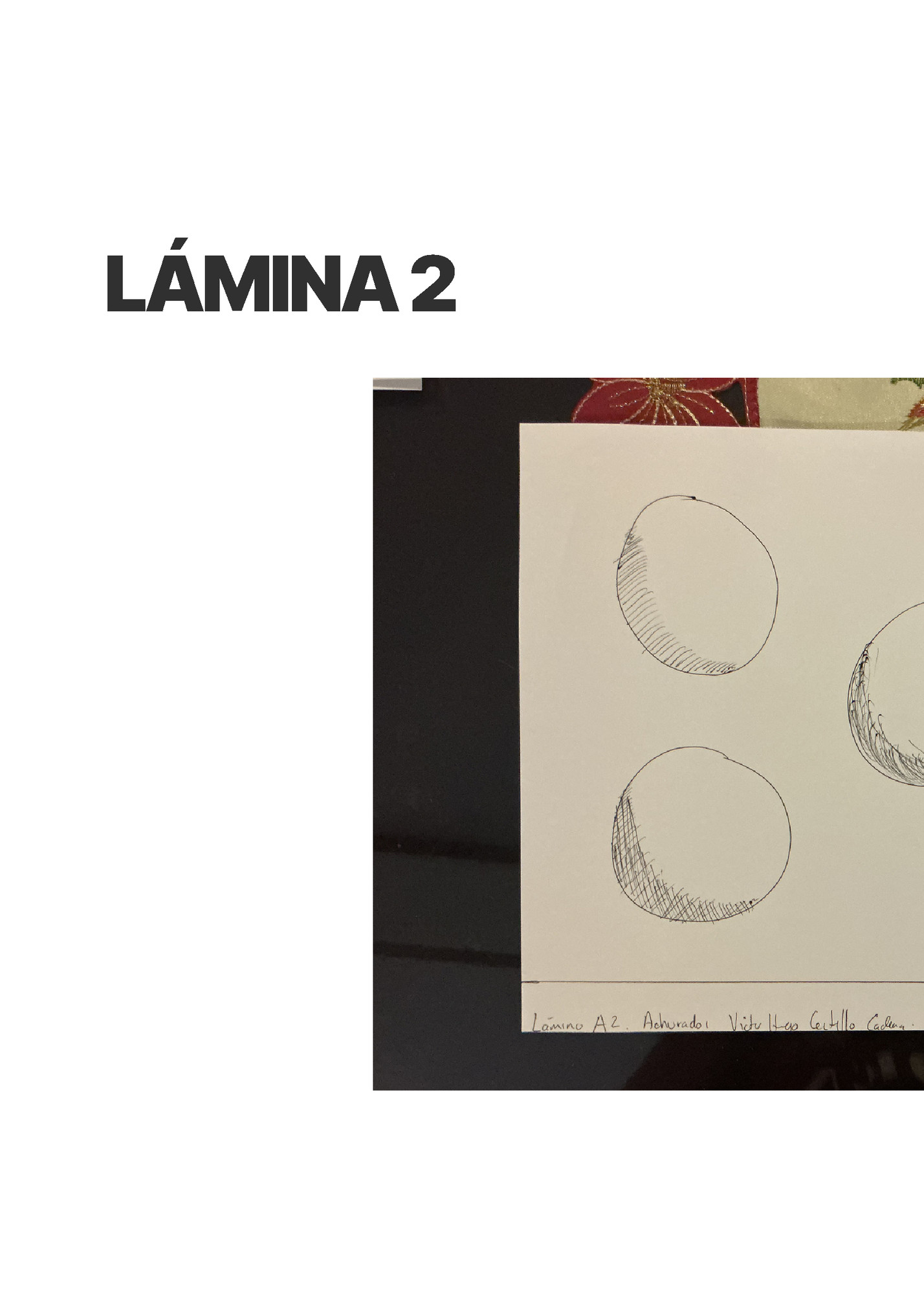 LÁMINA 2