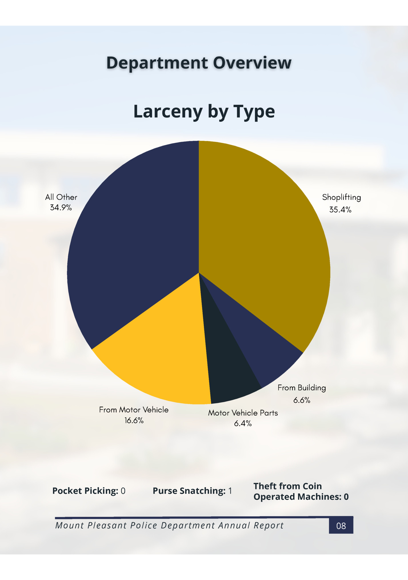 Larceny by Type‌