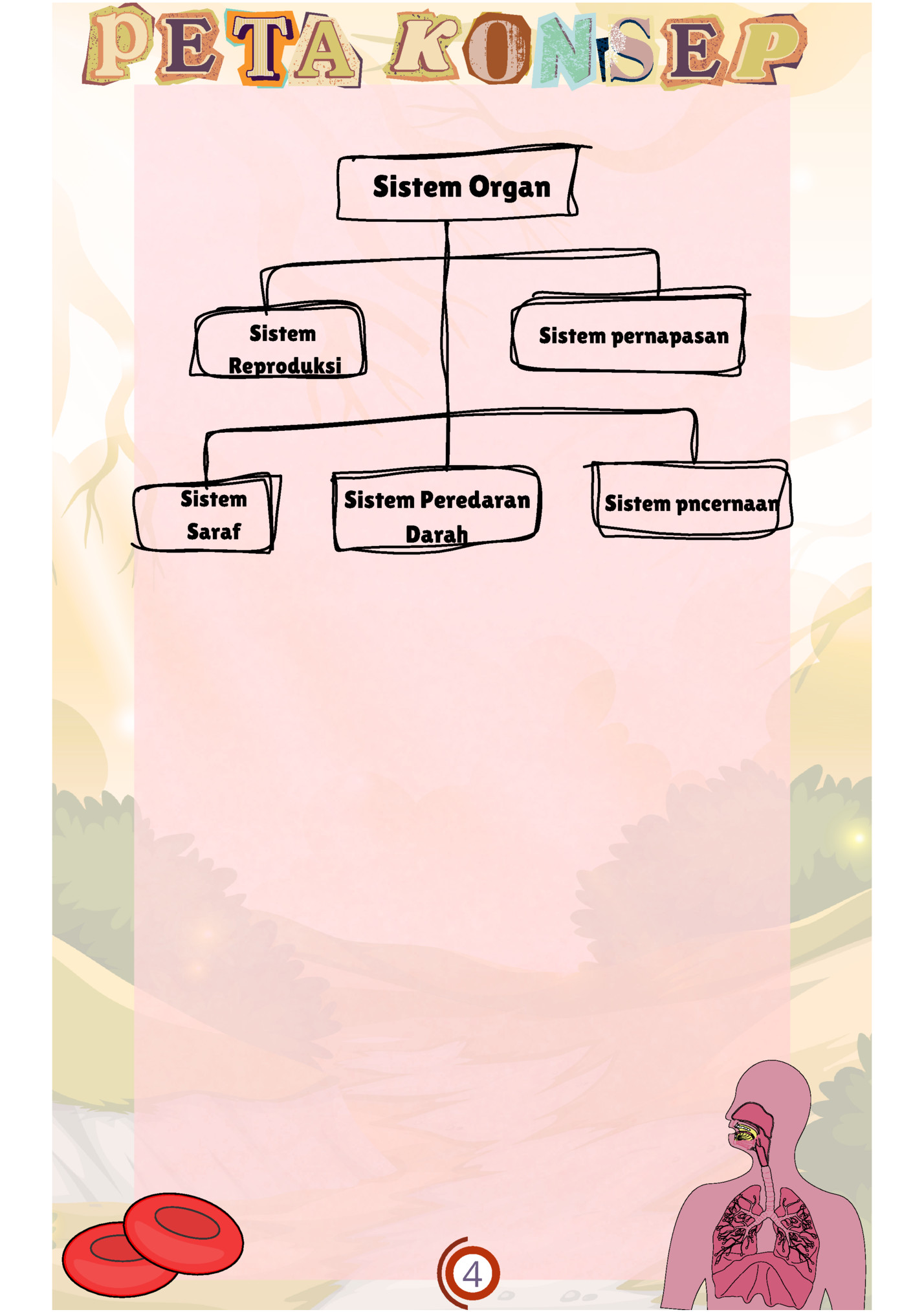 Sistem Organ